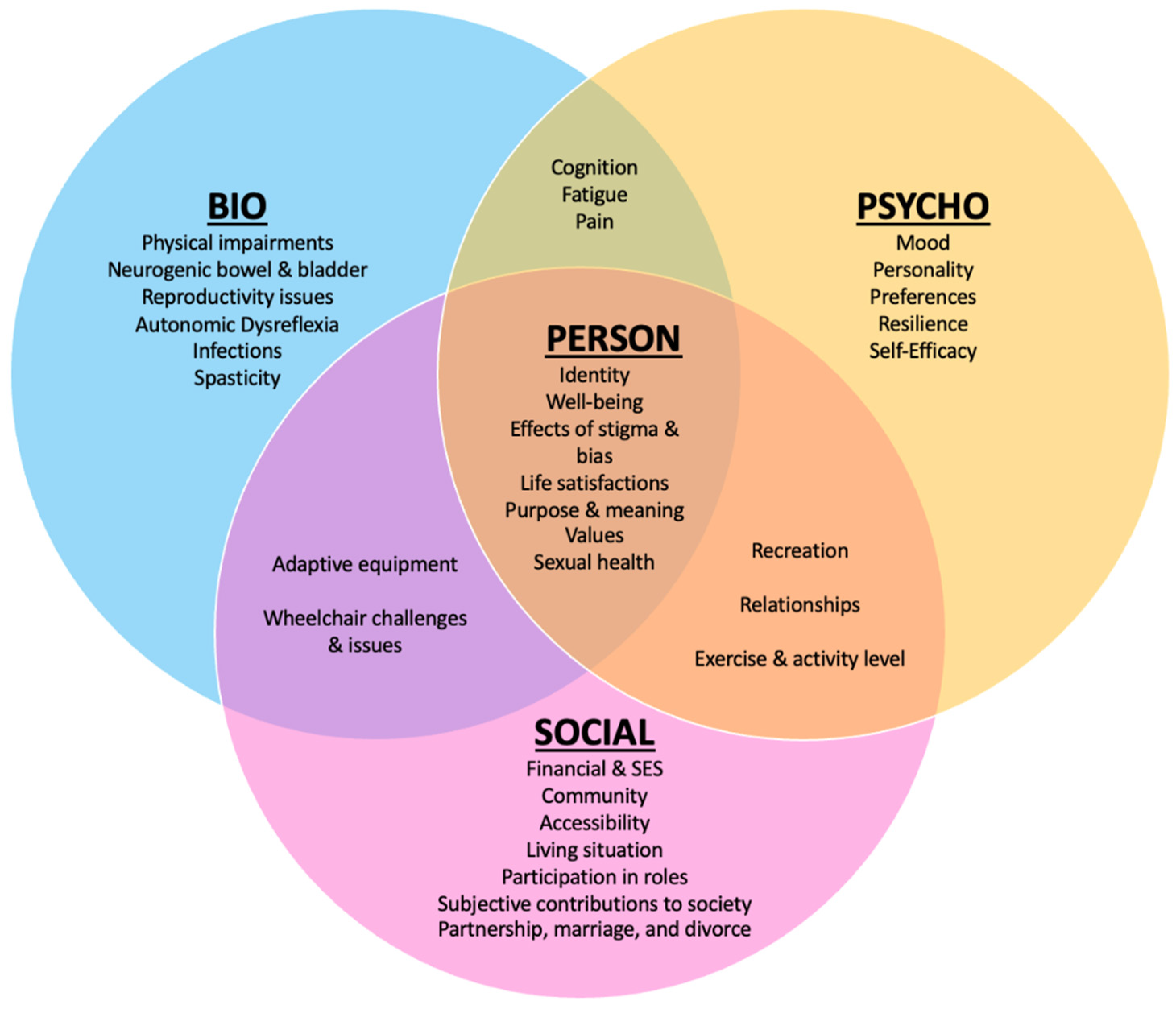 JPM Free Full Text Psychosocial Consequences Of Spinal Cord Injury 