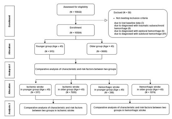 Clinical Characteristics and Risk Factors of First-Ever Stroke in Young ...