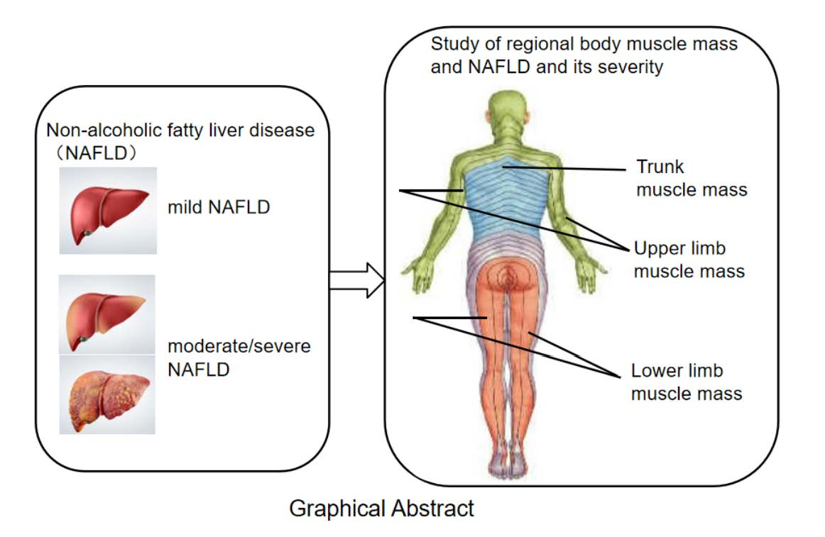 Muscle Mass Is Linked to Liver Disease Severity in Pediatric Nonalcoholic  Fatty Liver Disease - The Journal of Pediatrics