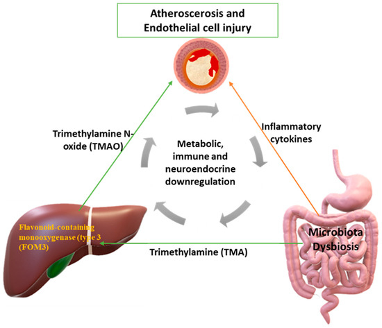 Might Gut Microbiota Be a Target for a Personalized