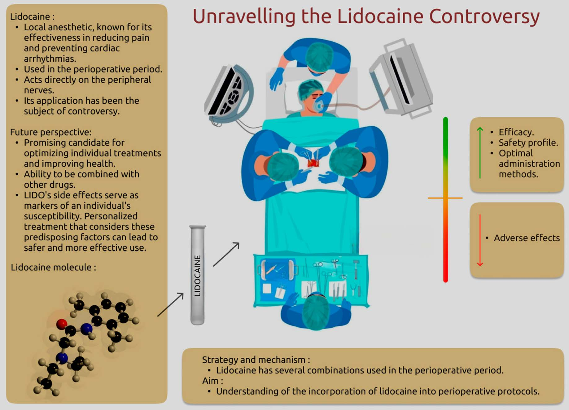 How does Lidocaine Powder work to alleviate sunburn pain? How does Lidocaine Powder work to alleviate sunburn pain?