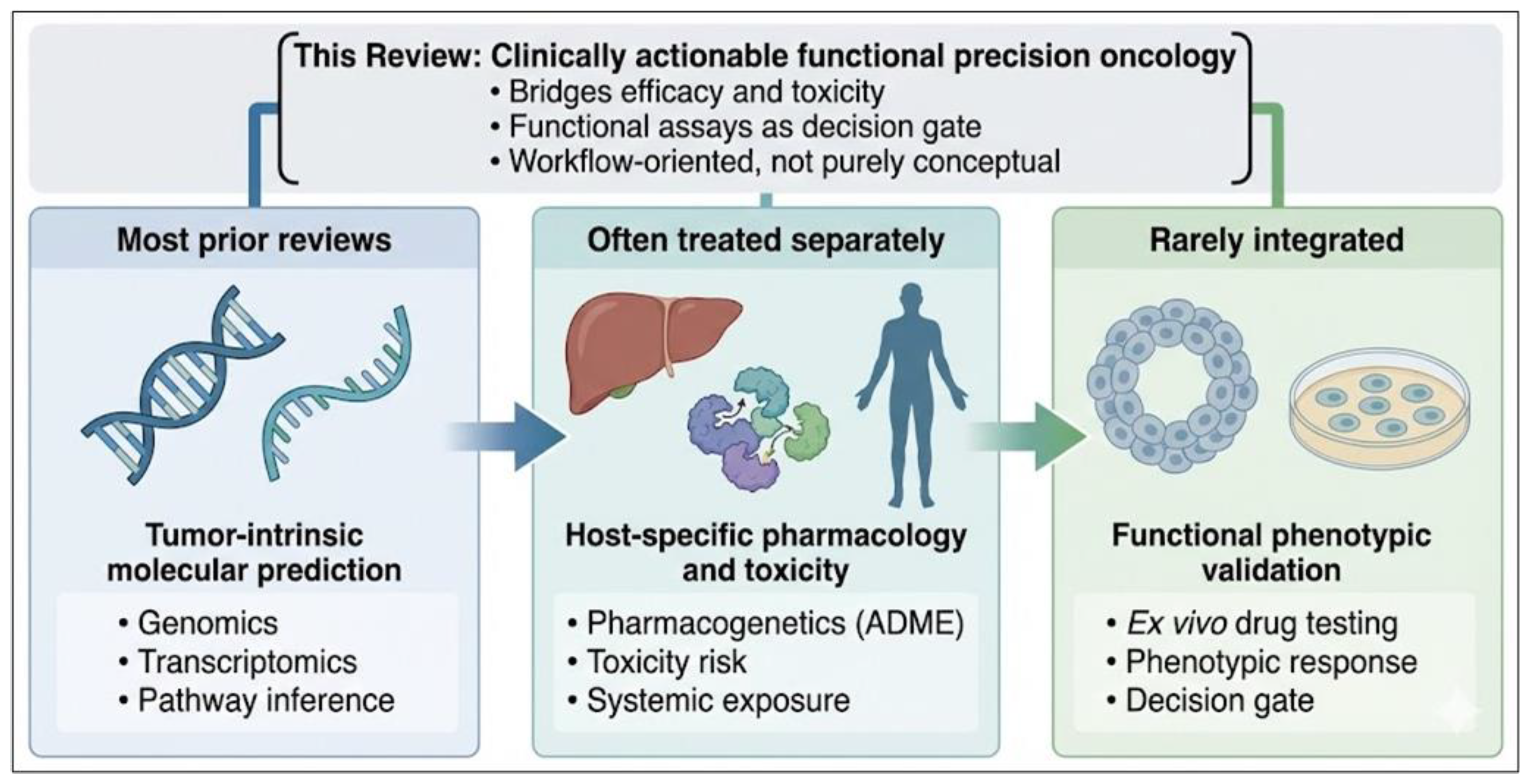 Molecular Oncodiagnostics in Precision Oncology: Integrating Tumor ...