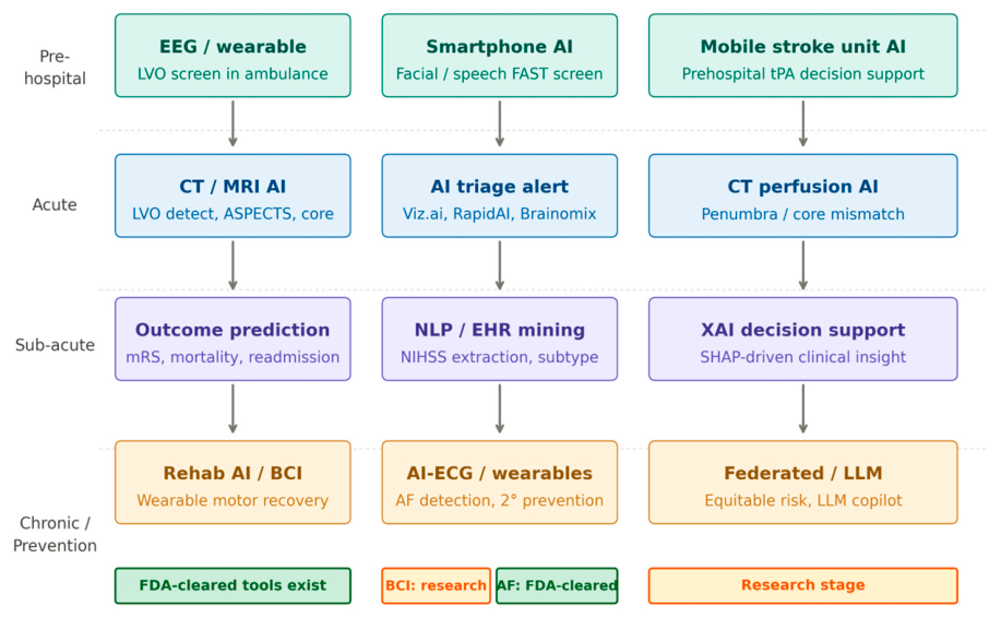 A Decade of Artificial Intelligence in Stroke Care (2015–2025): Trends ...
