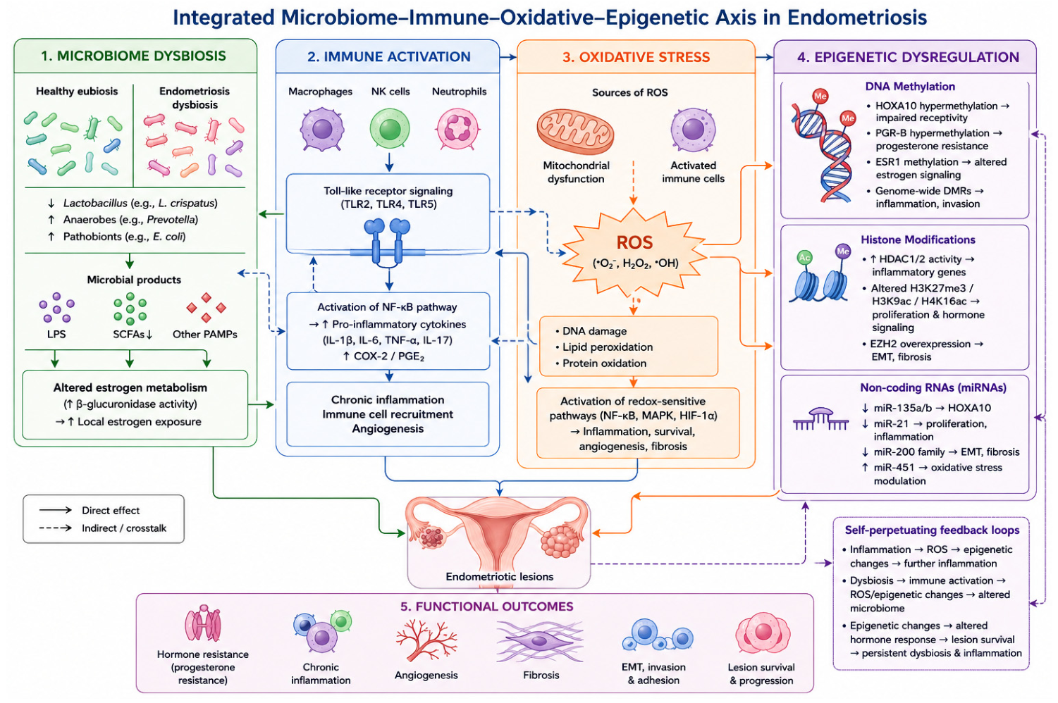 Epigenetics, Oxidative Stress, and the Microbiome in Endometriosis ...