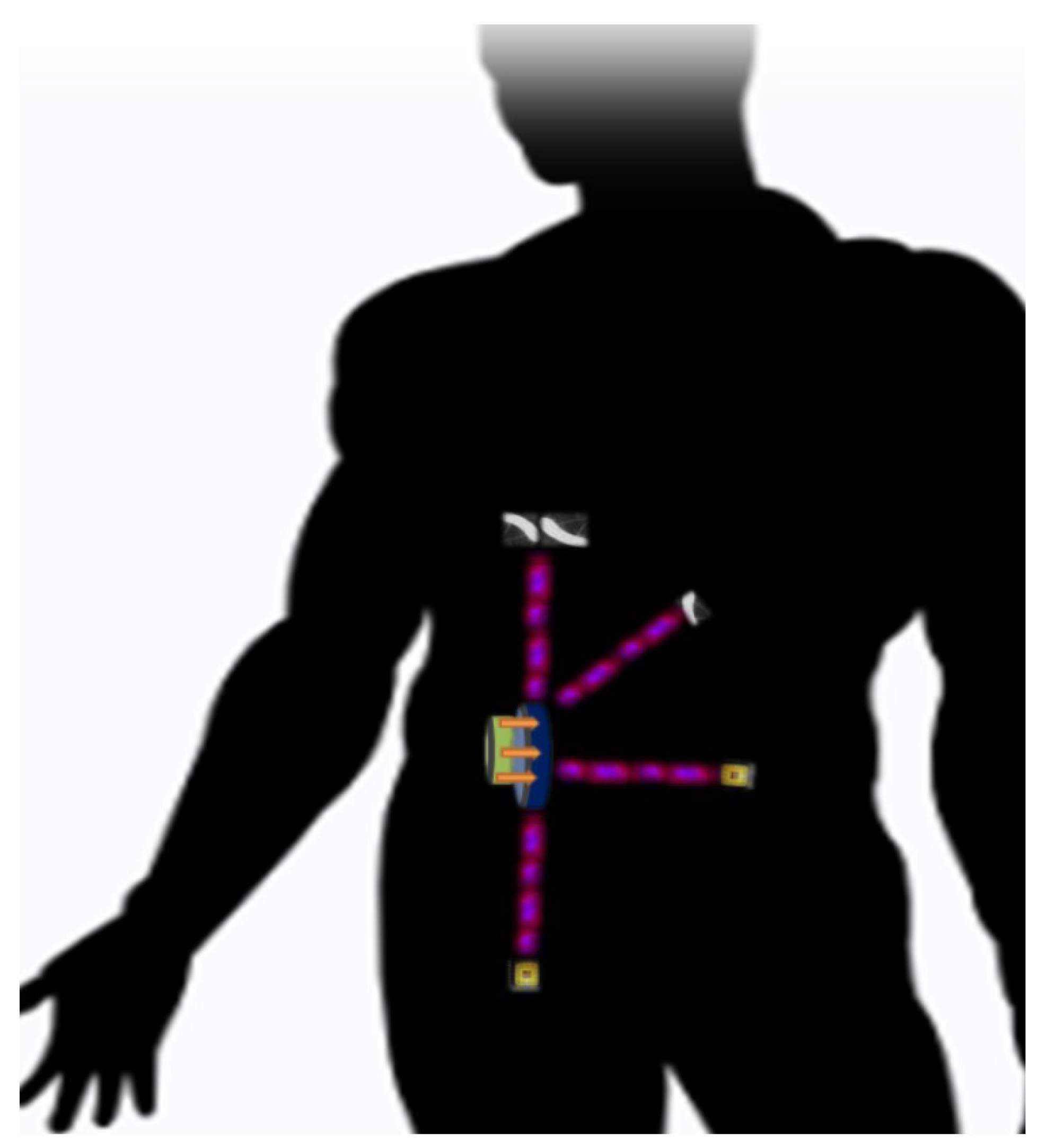 Design Principles for a New Form of Bioelectrical Nanonetwork Based on ...