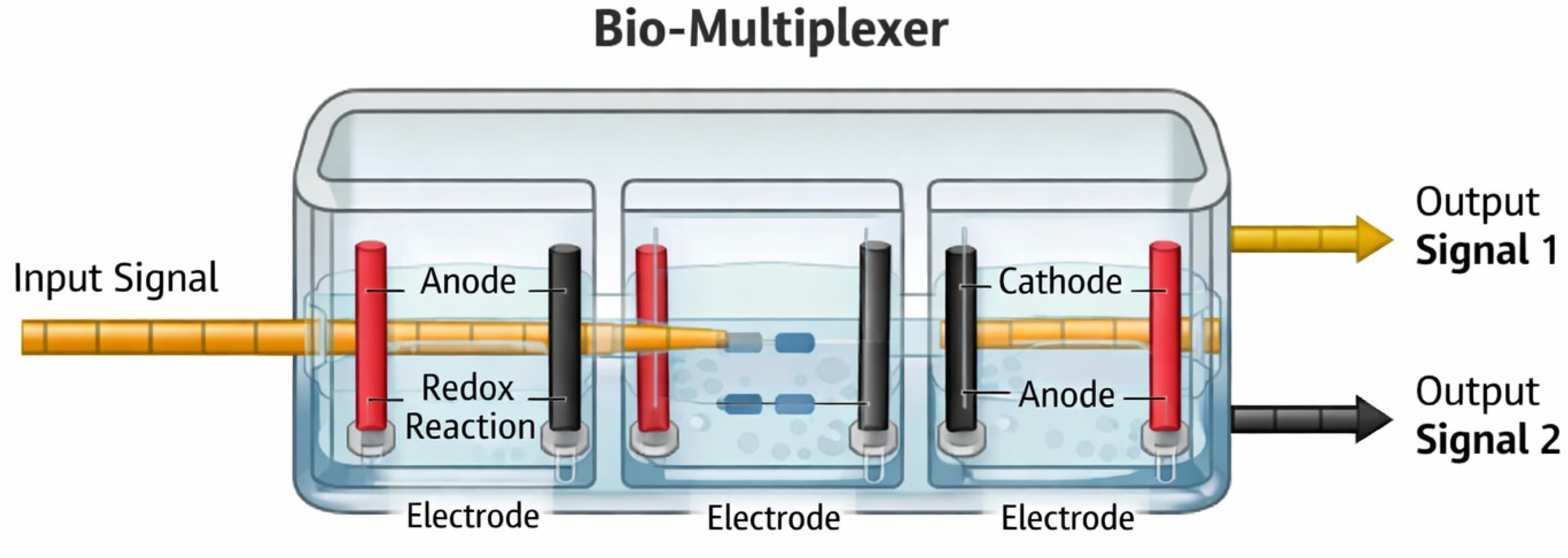 Design Principles for a New Form of Bioelectrical Nanonetwork Based on ...
