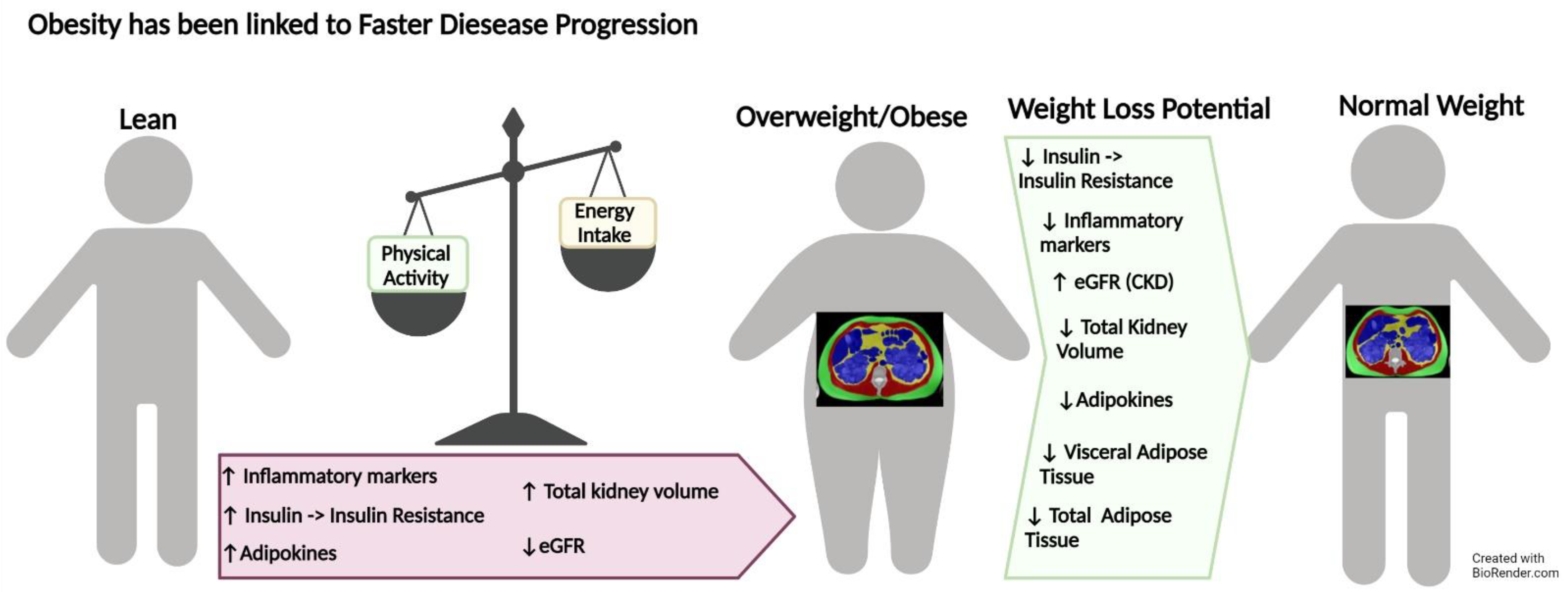 kidney-and-dialysis-free-full-text-obesity-weight-loss-lifestyle