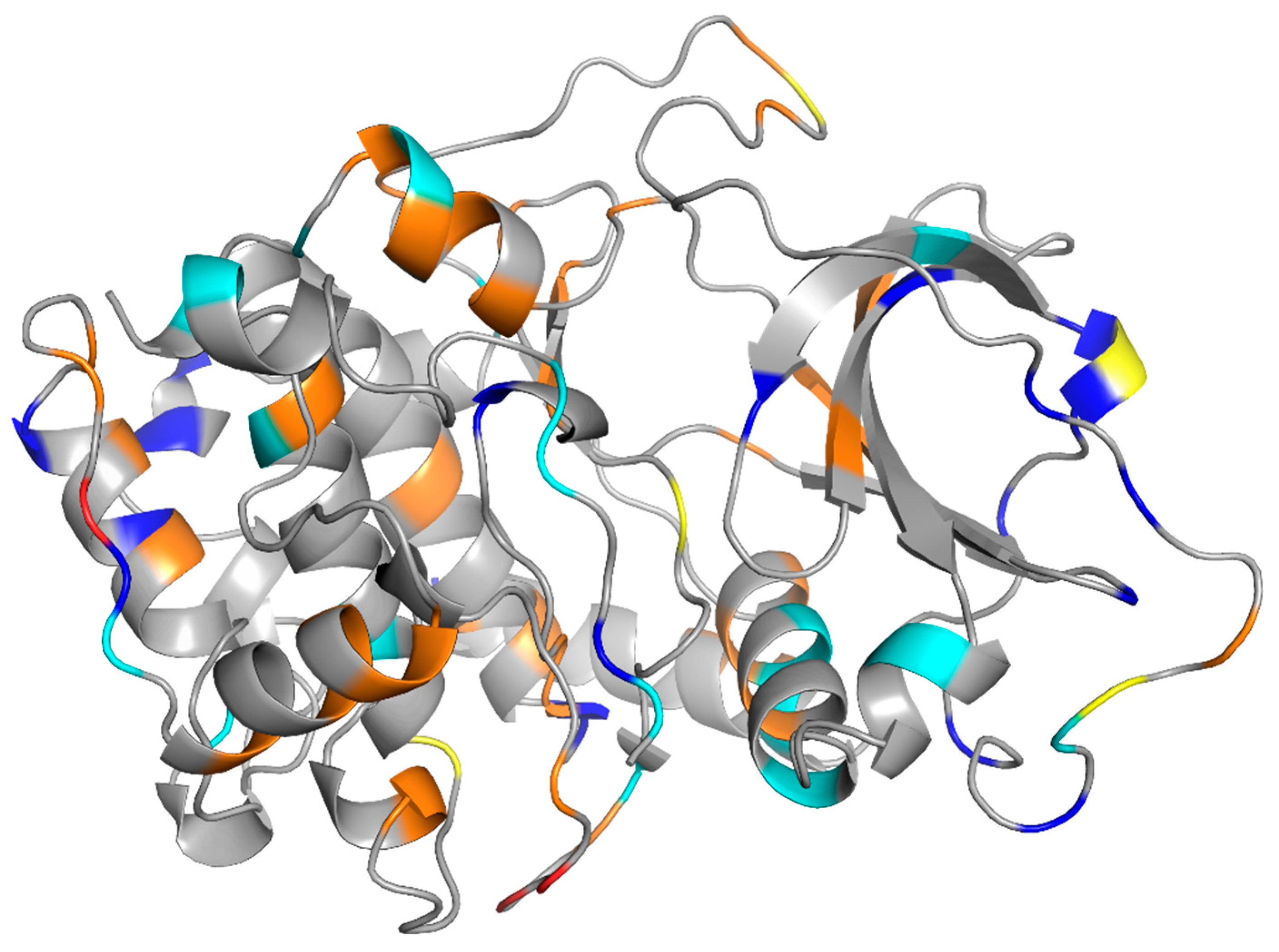 A Critical Look at the Crystal Structures of cAMP-Dependent Protein Kinases