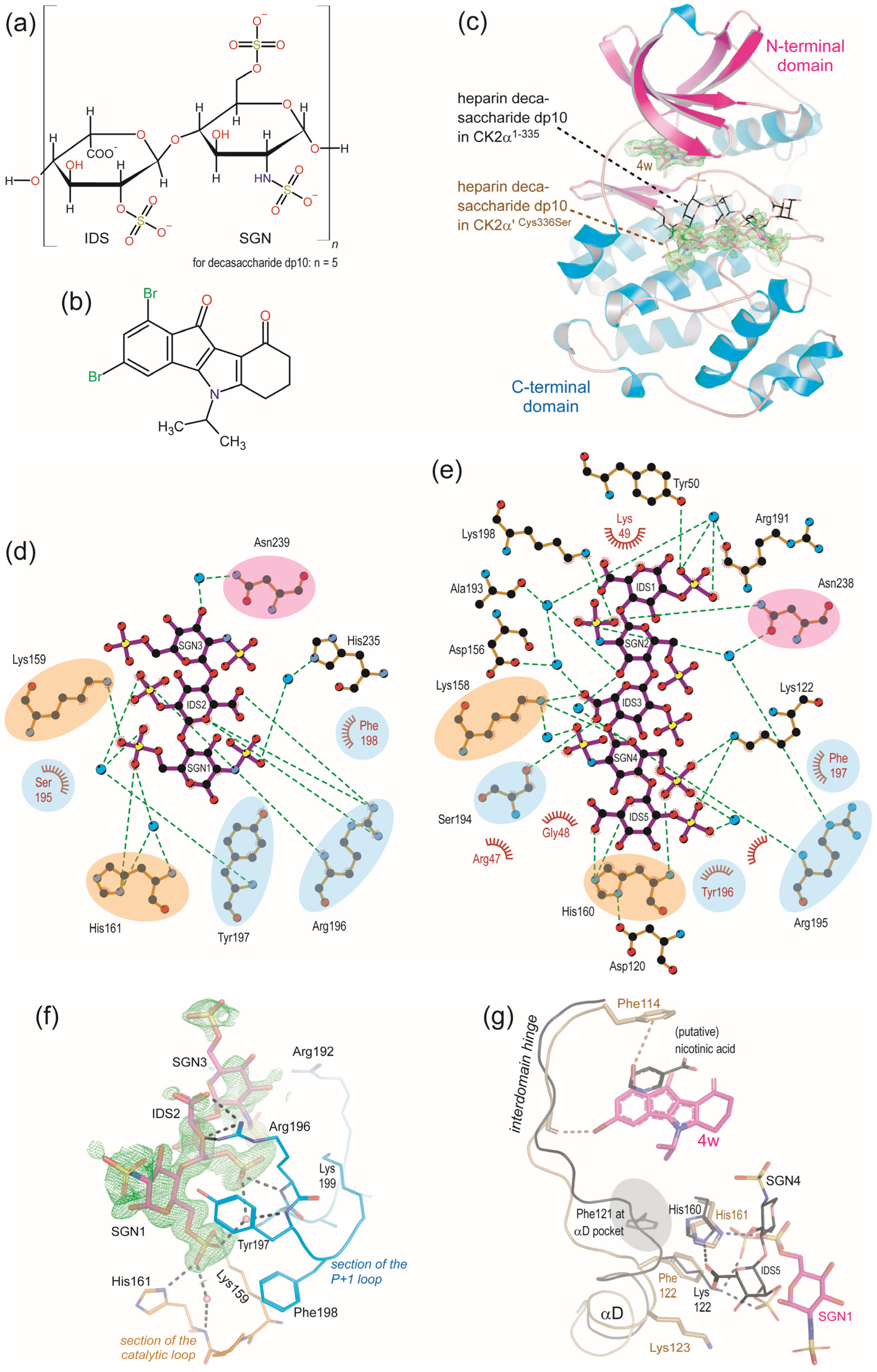 Crystallographic Fragment Screening with CK2α’, an Isoform of Human ...