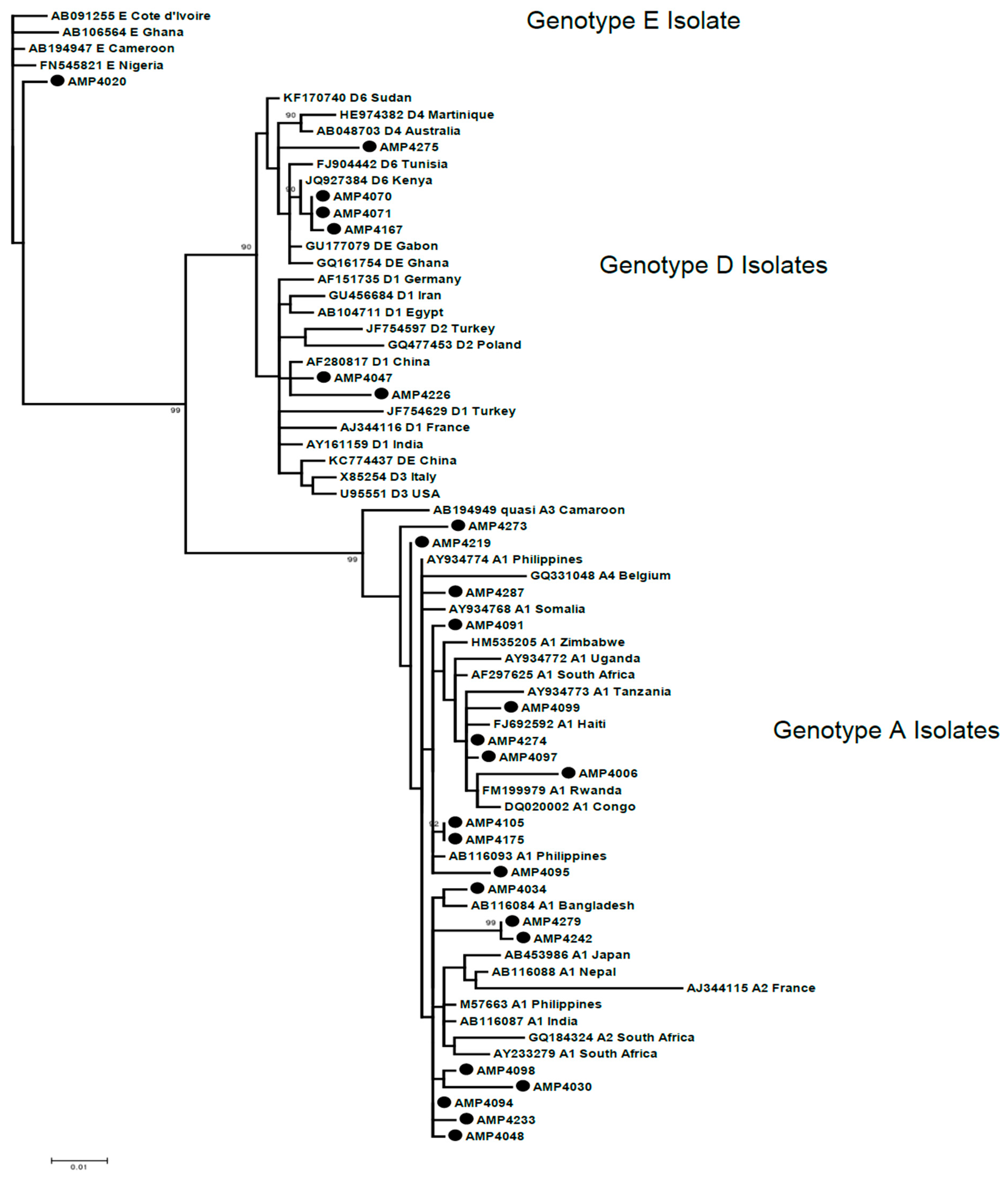 Genetic Diversity of Hepatitis B Virus Genomes Isolated from Patients ...