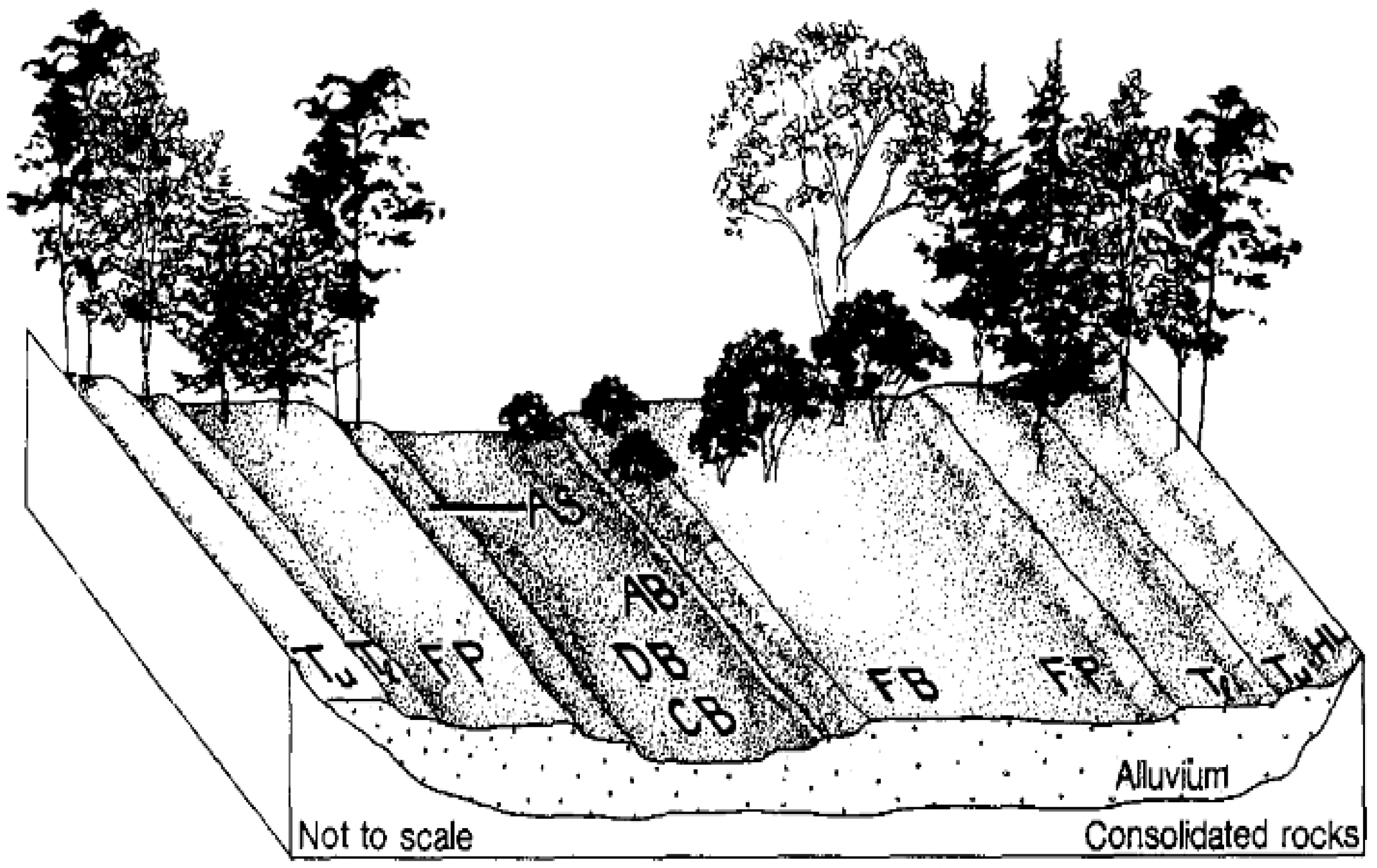 Land | Free Full-Text | Revisiting Vegetation Gradient Analysis and the