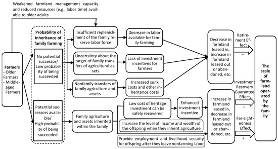 Land | Free Full-Text | The Impact of Intergenerational Inheritance on ...