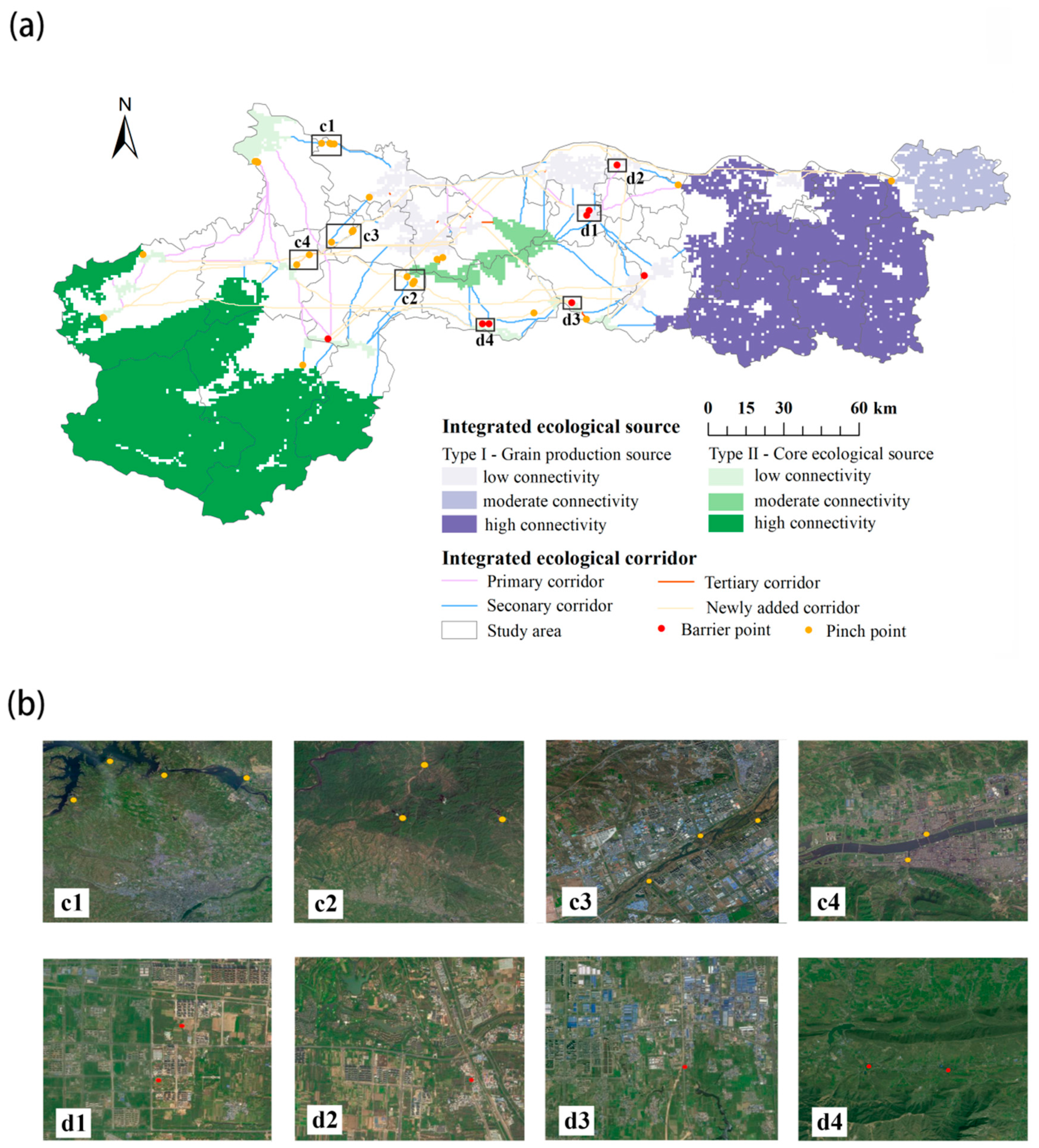 Construction and Optimization of Ecological Network Based on SOM and ...