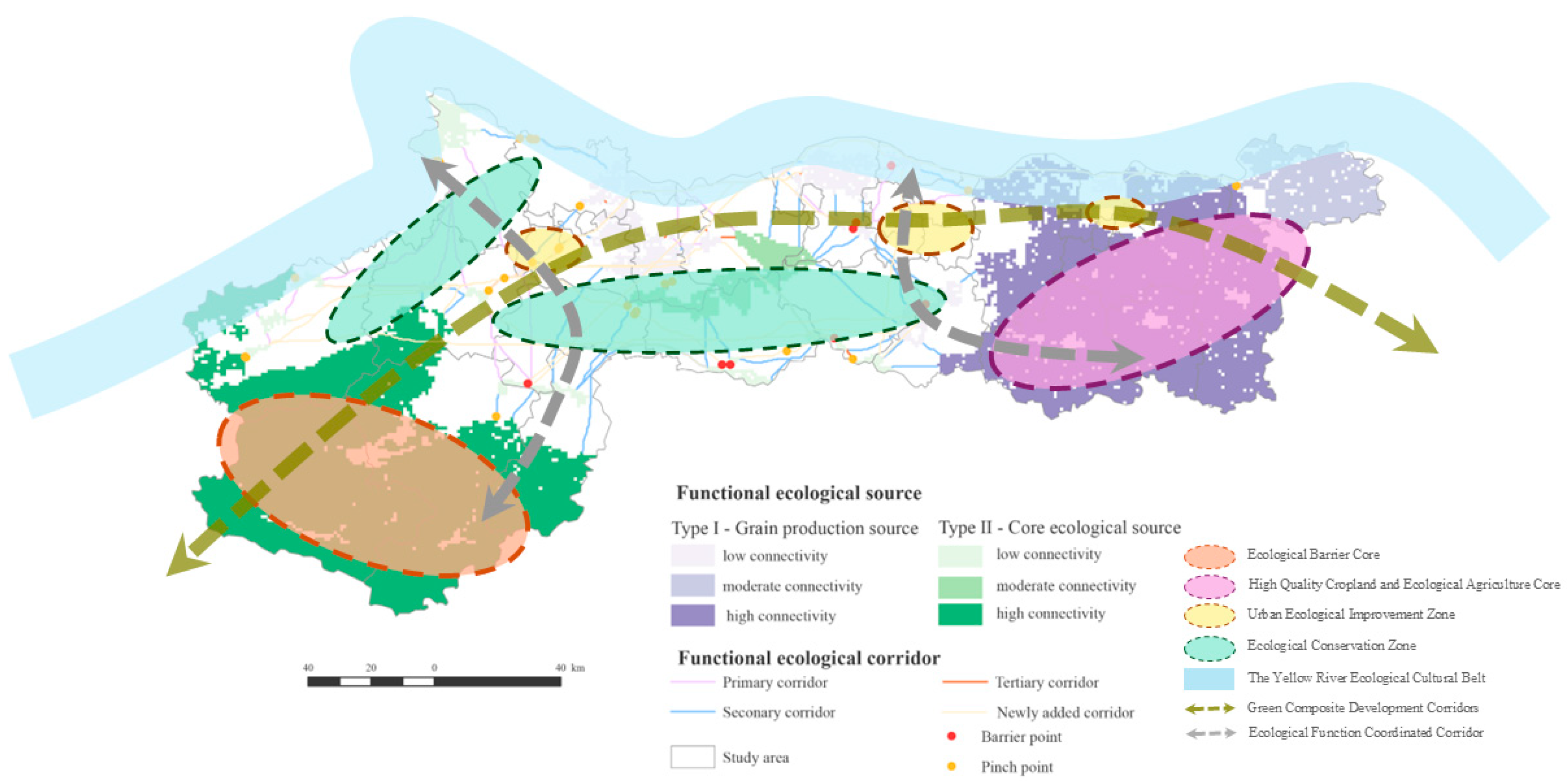 Construction and Optimization of Ecological Network Based on SOM and ...
