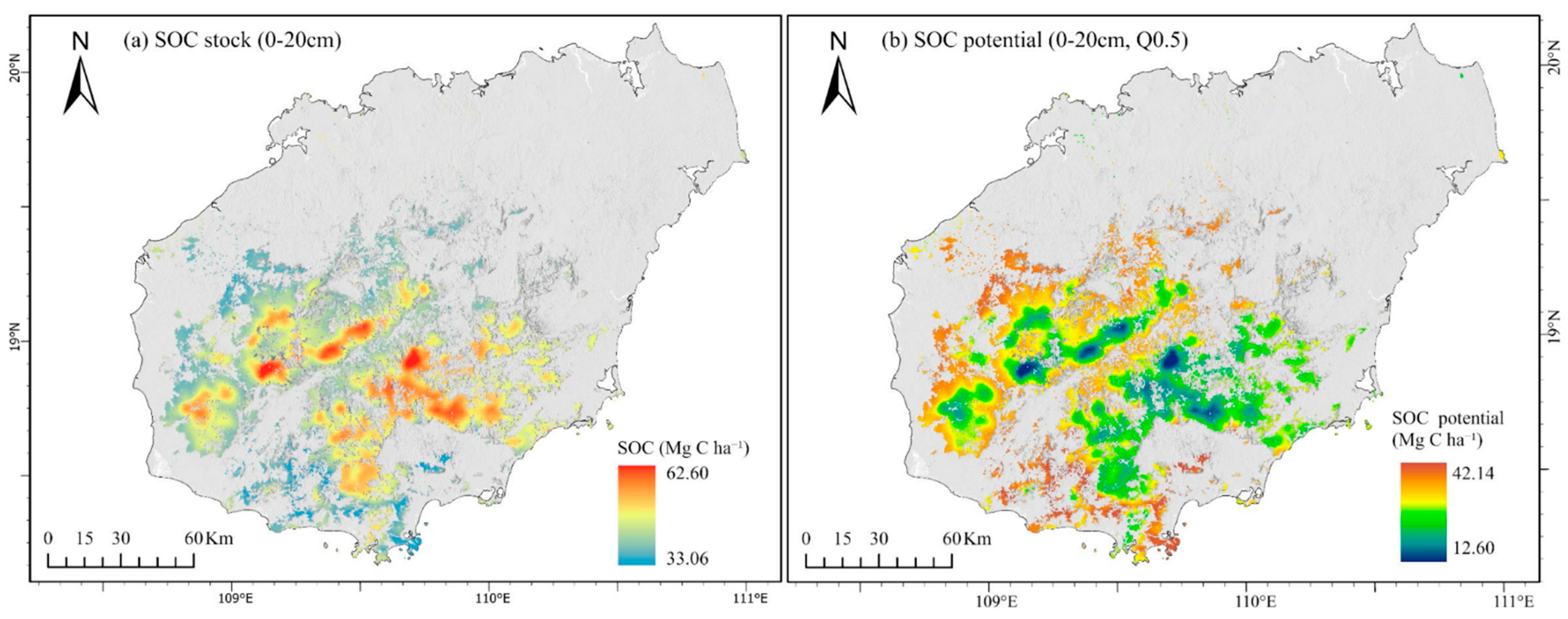 Topsoil Pattern Topsoil Carbon Spatial Patterns and Successional Shifts in Dominant ...