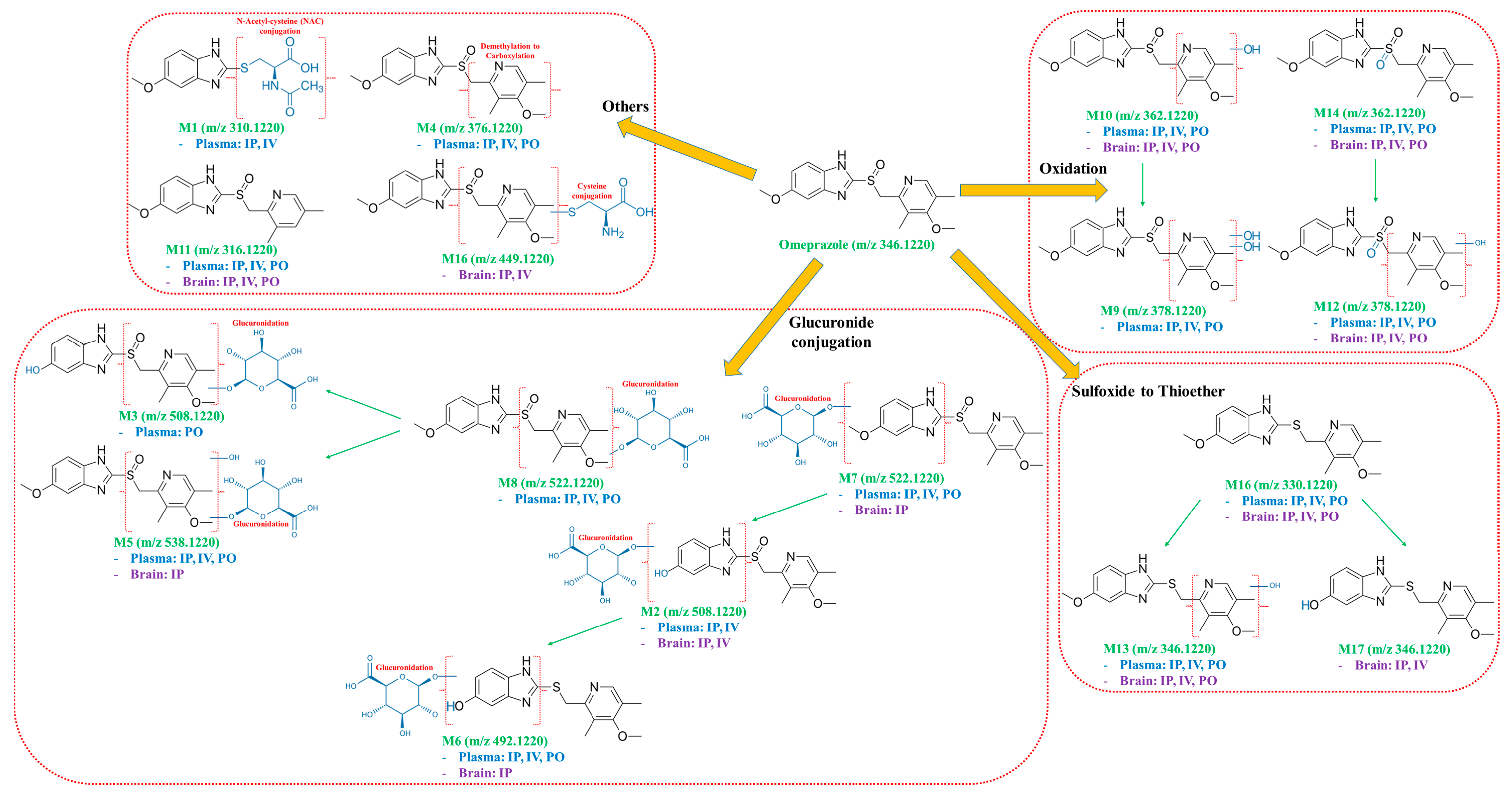PDF) PHOTOCHEMICAL DEGRADATION OF OMEPRAZOLE. IDENTIFICATION OF  INTERMEDIATE COMPOUNDS AND MECHANISMS