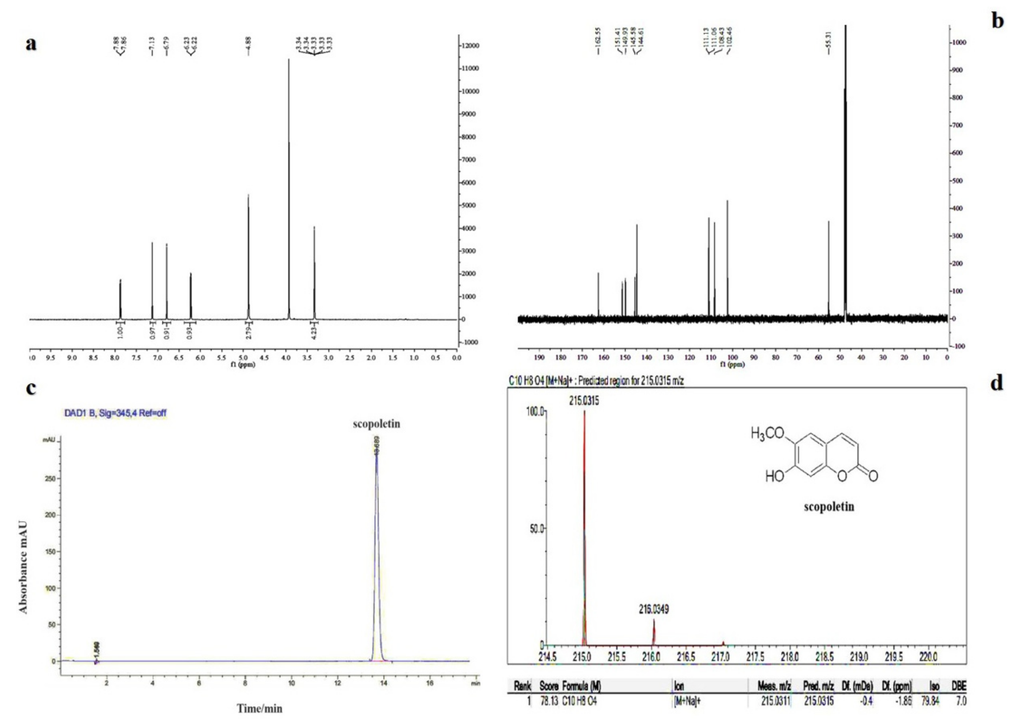 Evaluation of Scopoletin from Penicillium janthinellum