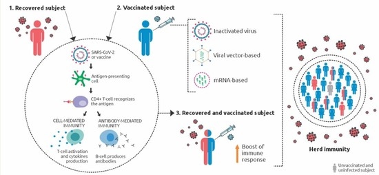 Coronavirus: 79 new cases; vaccinations at 2.1 million-plus in
