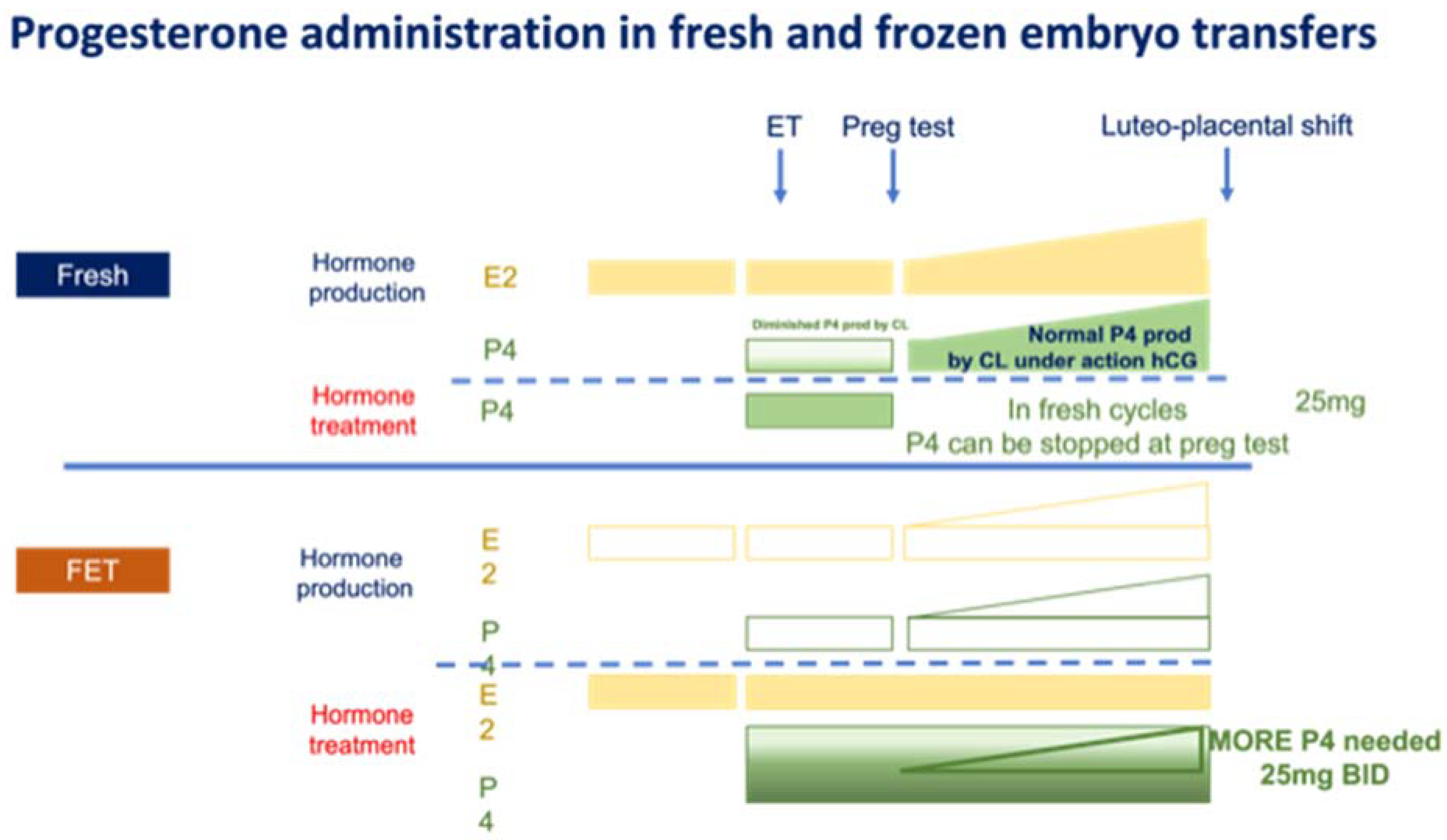 Hcg Levels After Ivf Frozen Embryo Transfer