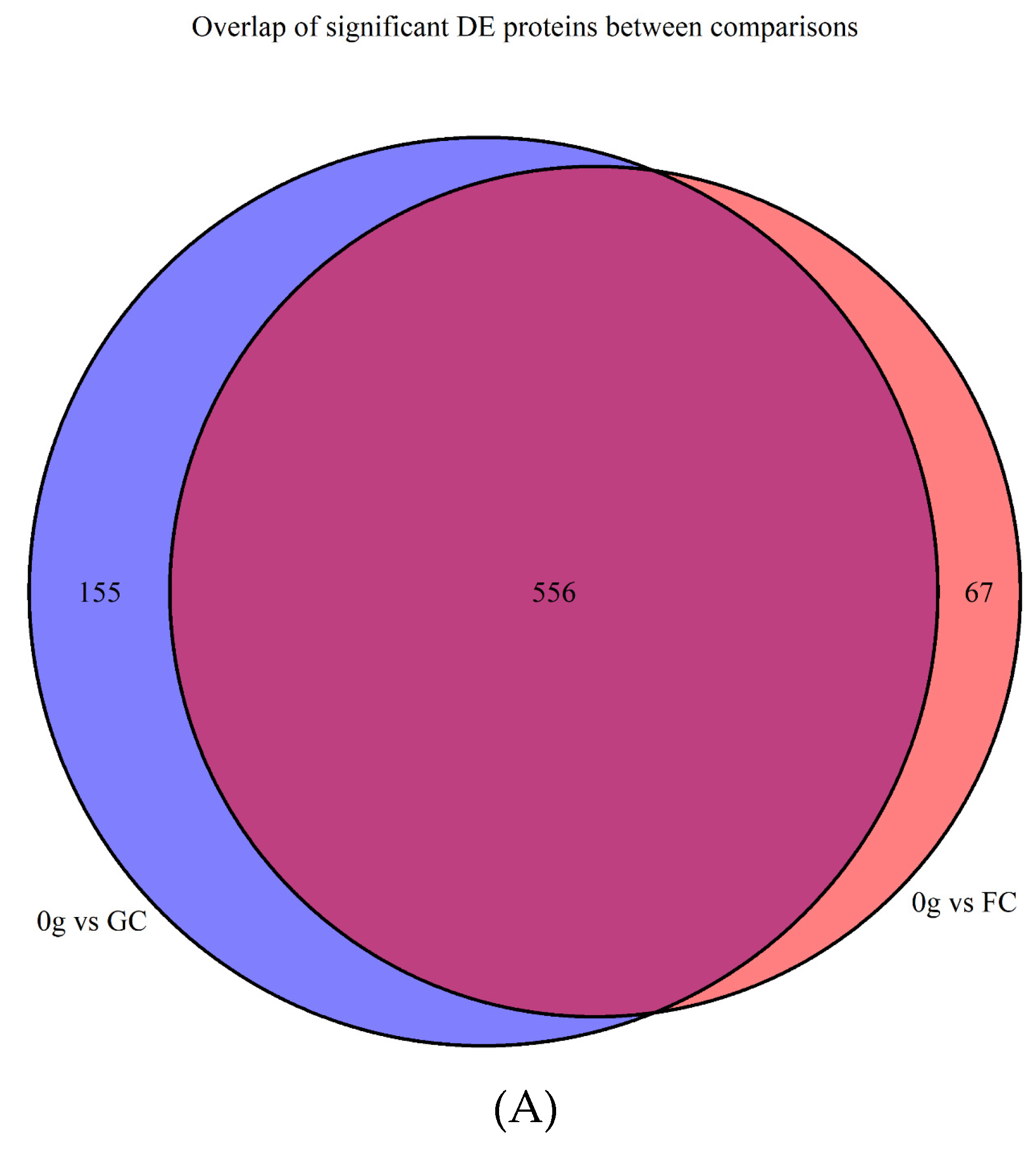 Deinococcus Radiodurans: The World's Toughest Bacterium. A Review