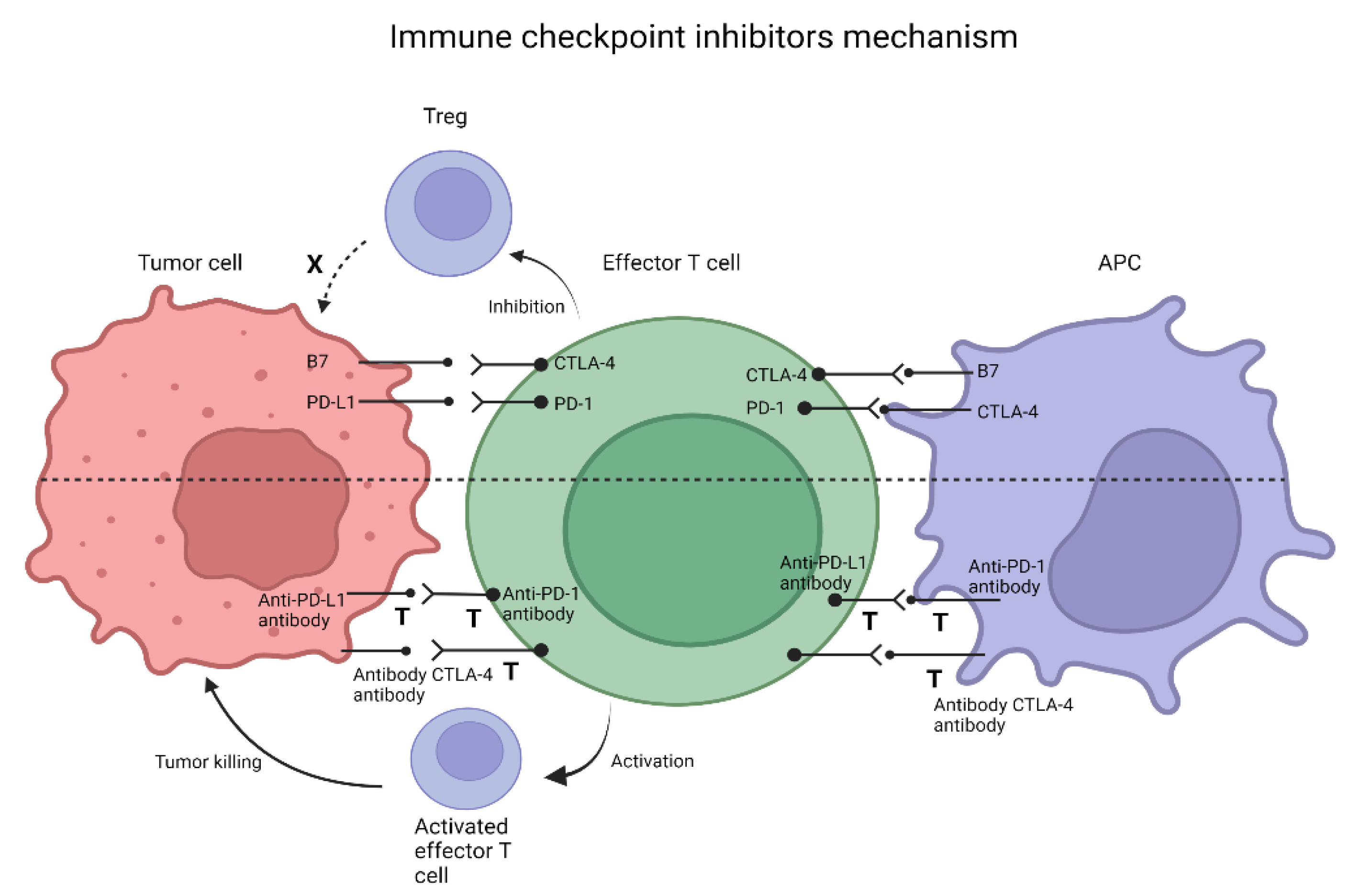 Life Free Full Text Landscape Of Immunotherapy Options For