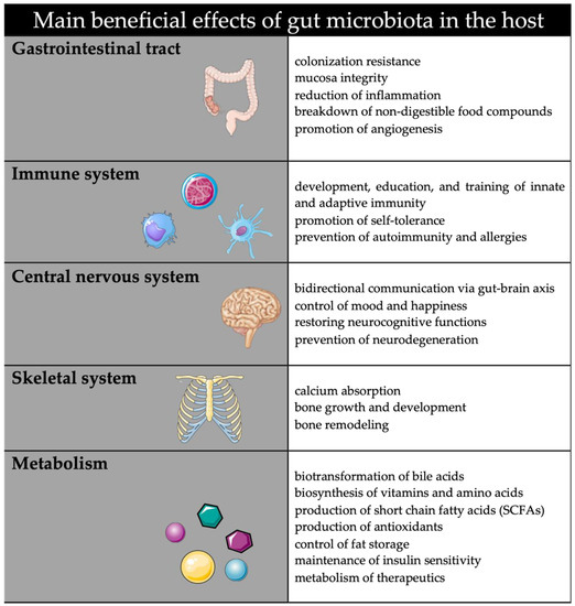 Life Free Full Text The Maternal Fetal Gut Microbiota Axis 