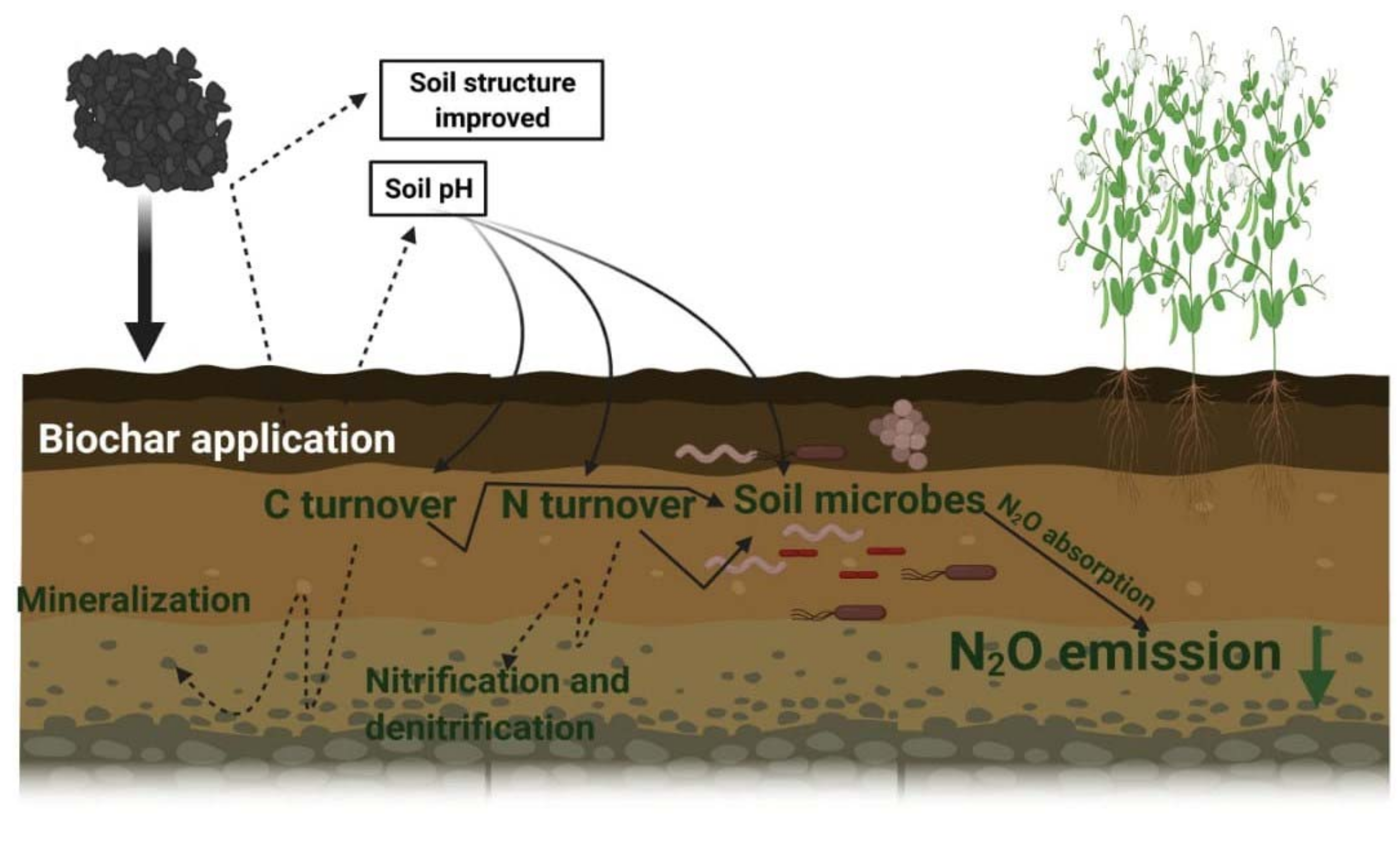 Emissions of nitrous oxide (N2O) from soil surfaces and their
