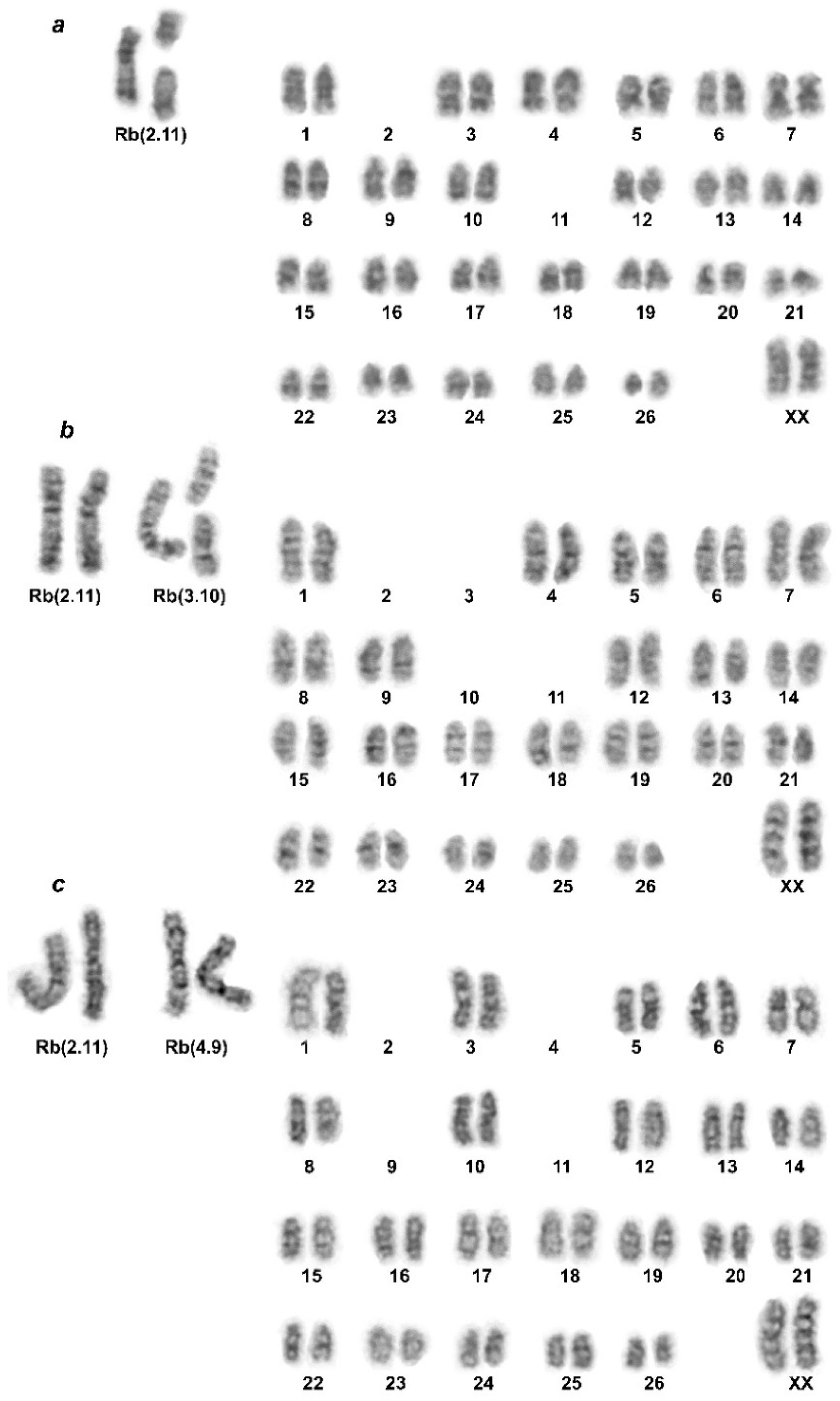 Life | Free Full-Text | Geographic Mosaic of Extensive Genetic ...