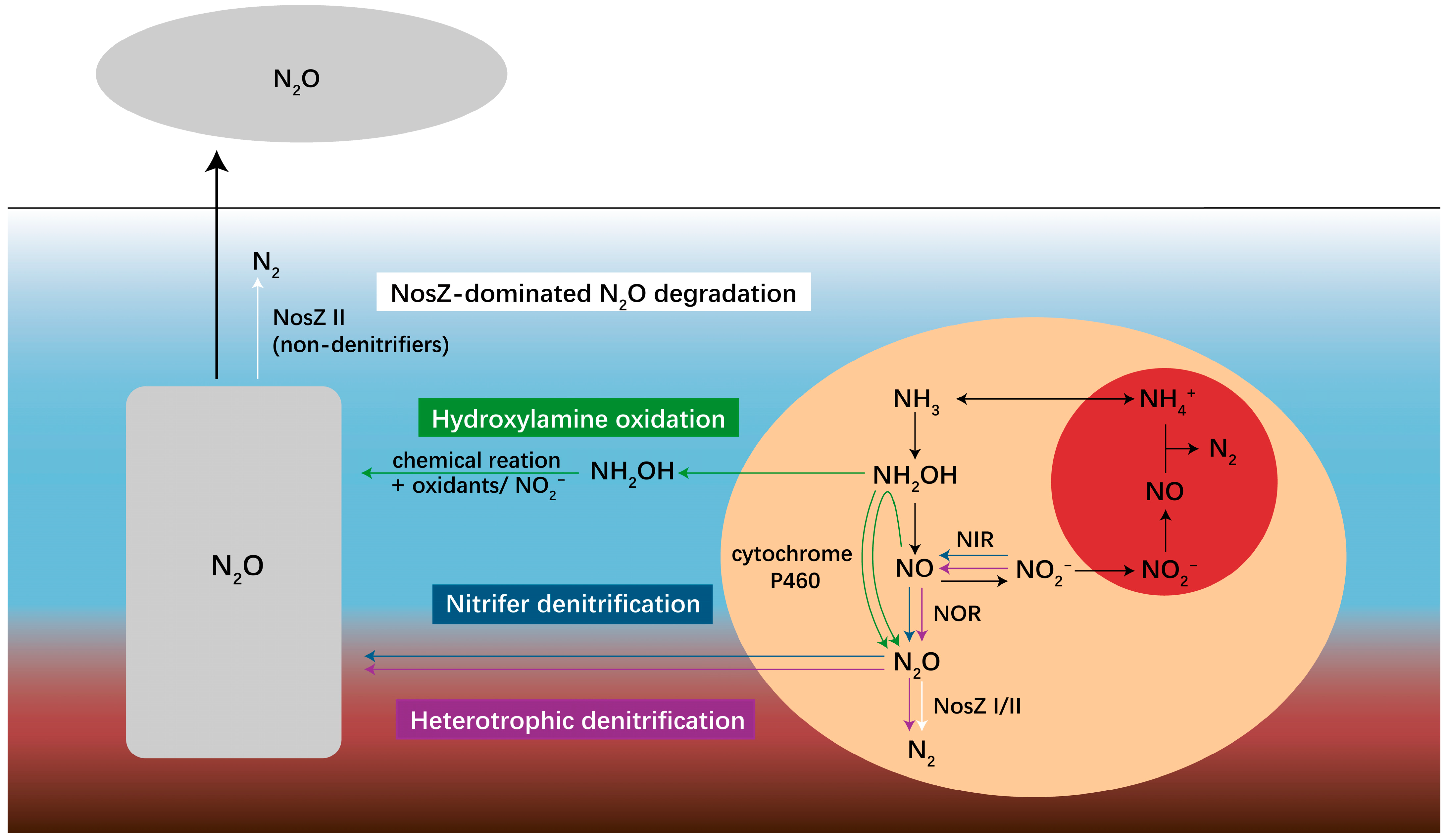 ChemComp-N2O: NITROUS OXIDE - Yorodumi