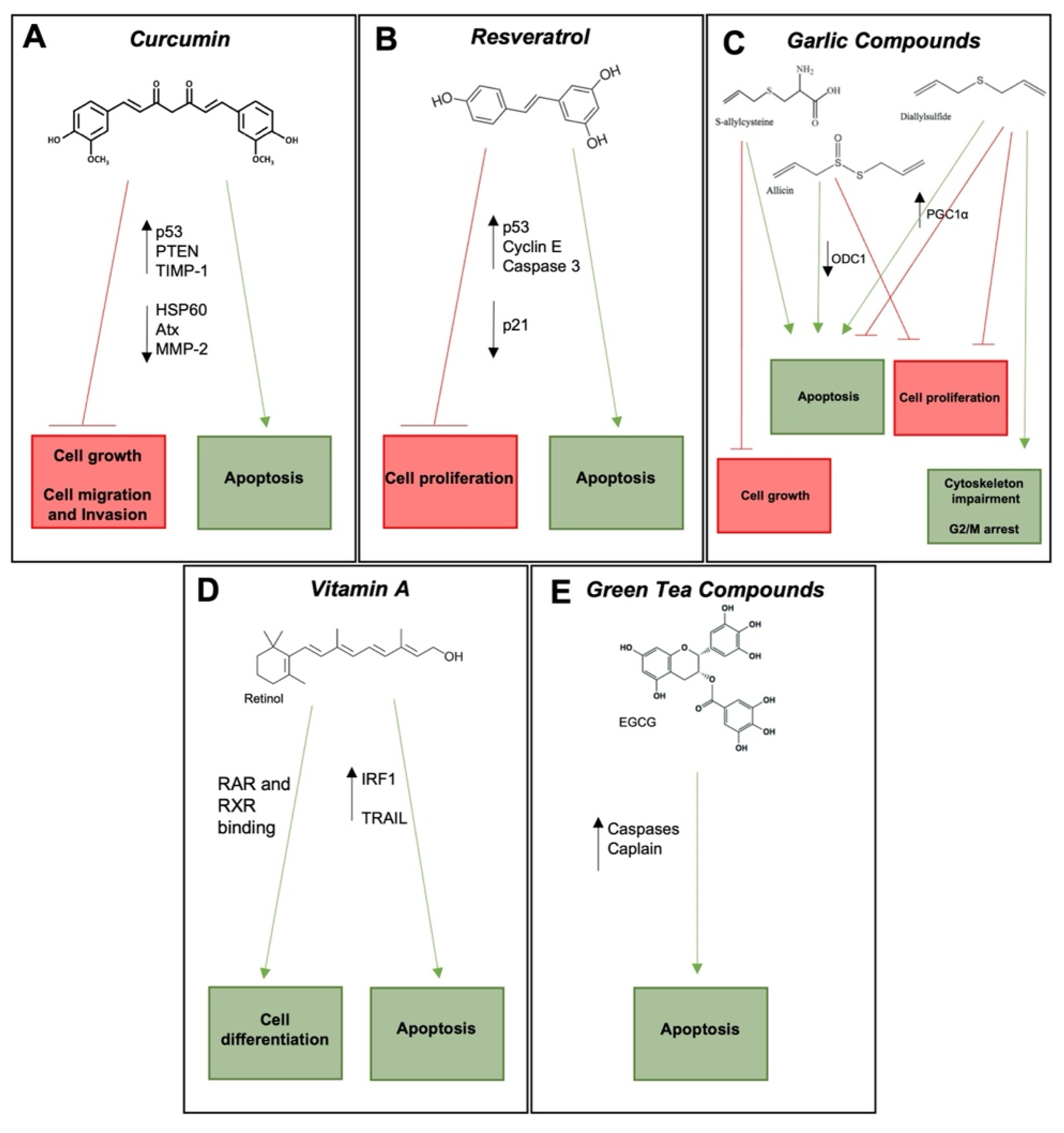 Micronutrition et cancer