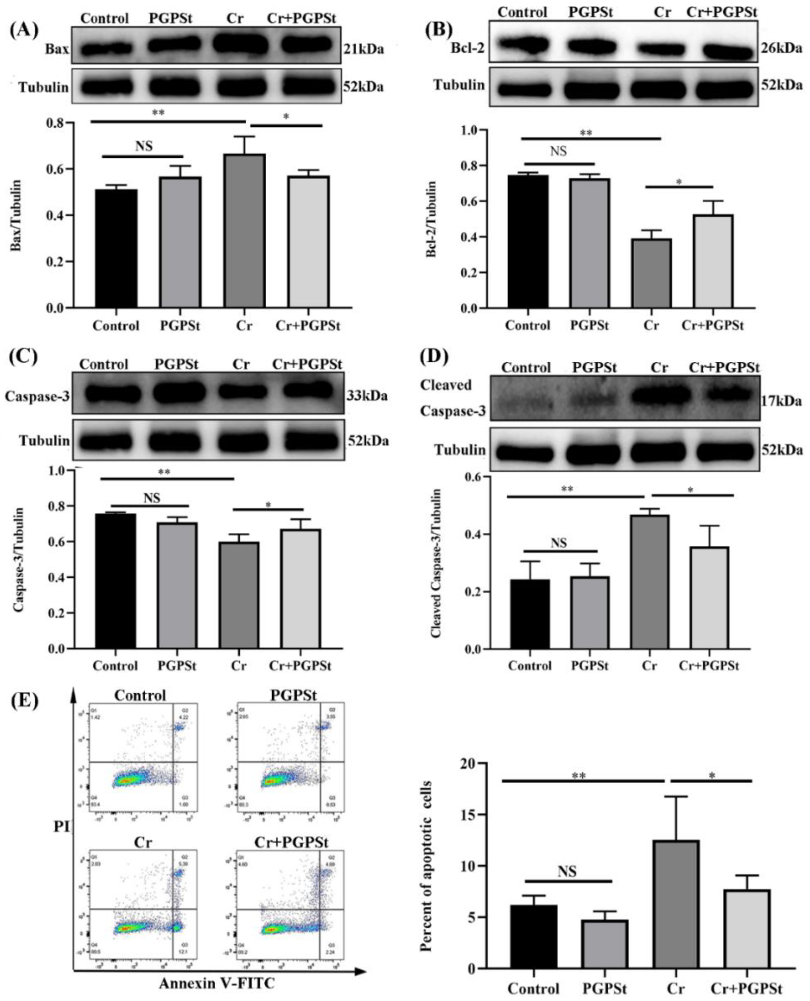 Life | Free Full-Text | Platycodon Grandiflorus Polysaccharides ...