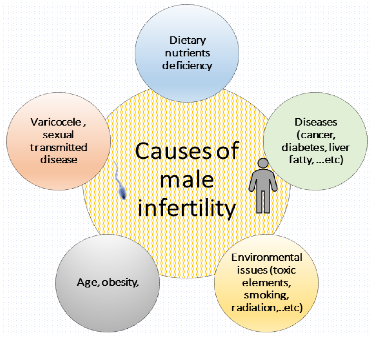Common Causes Of Male Infertility Risk Factors Prevention