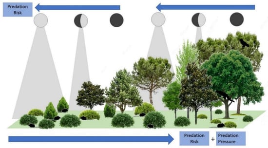 Life | Free Full-Text | Indirect Human Influences in Fear Landscapes ...