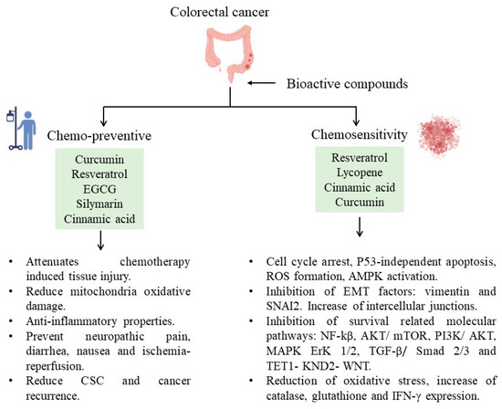 Life | Free Full-Text | Bioactive Compounds Of Dietary Origin And Their ...