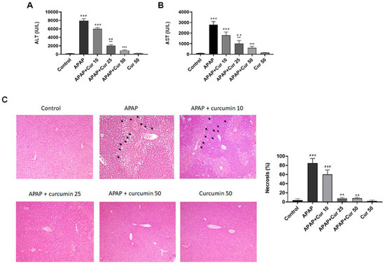 ERK/NF-kB/COX-2 Signaling Pathway Plays a Key Role in