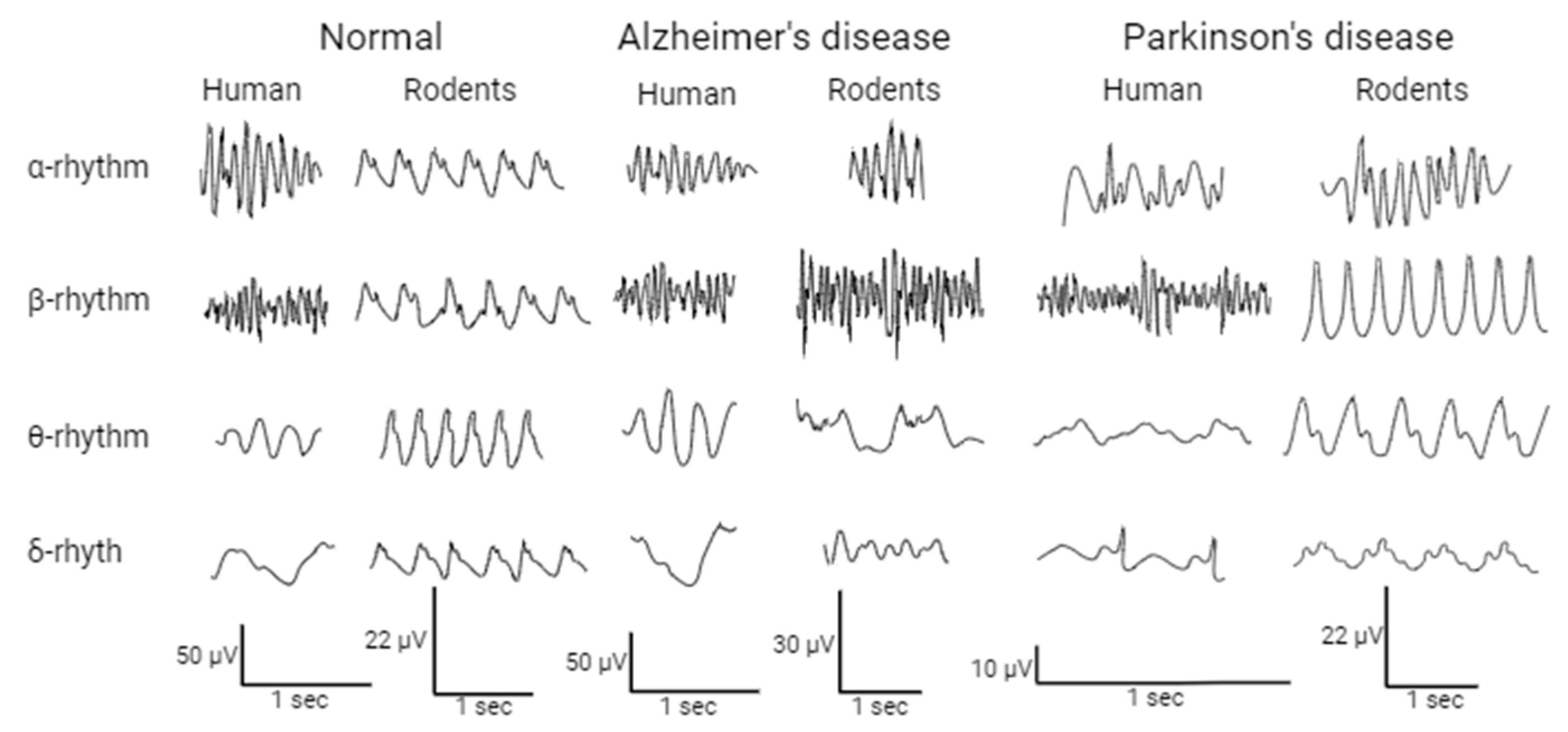 Life | Free Full-Text | Electrophysiology Methods for Assessing of ...