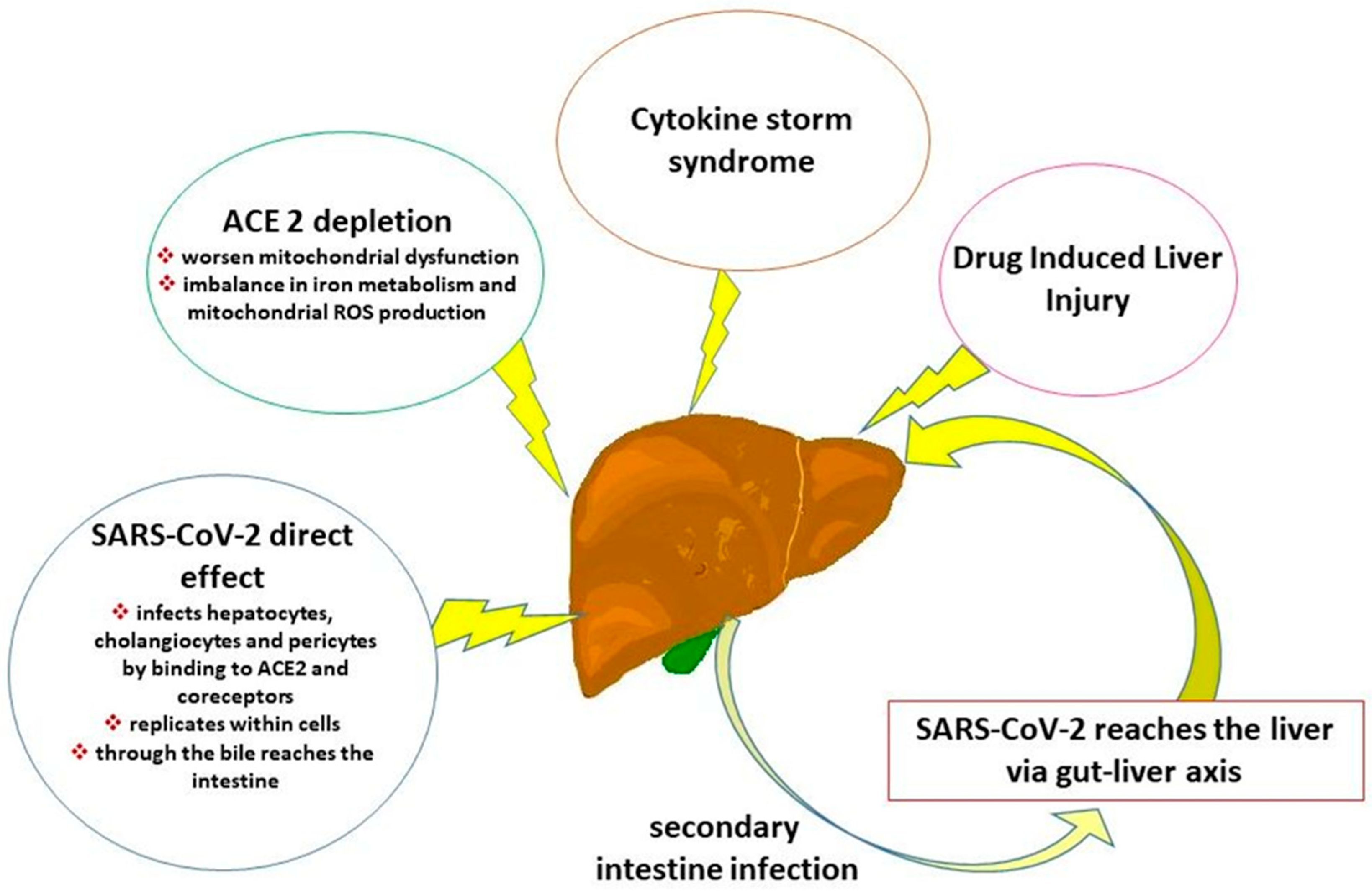 Post-COVID-19 Pandemic Sequelae in Liver Diseases