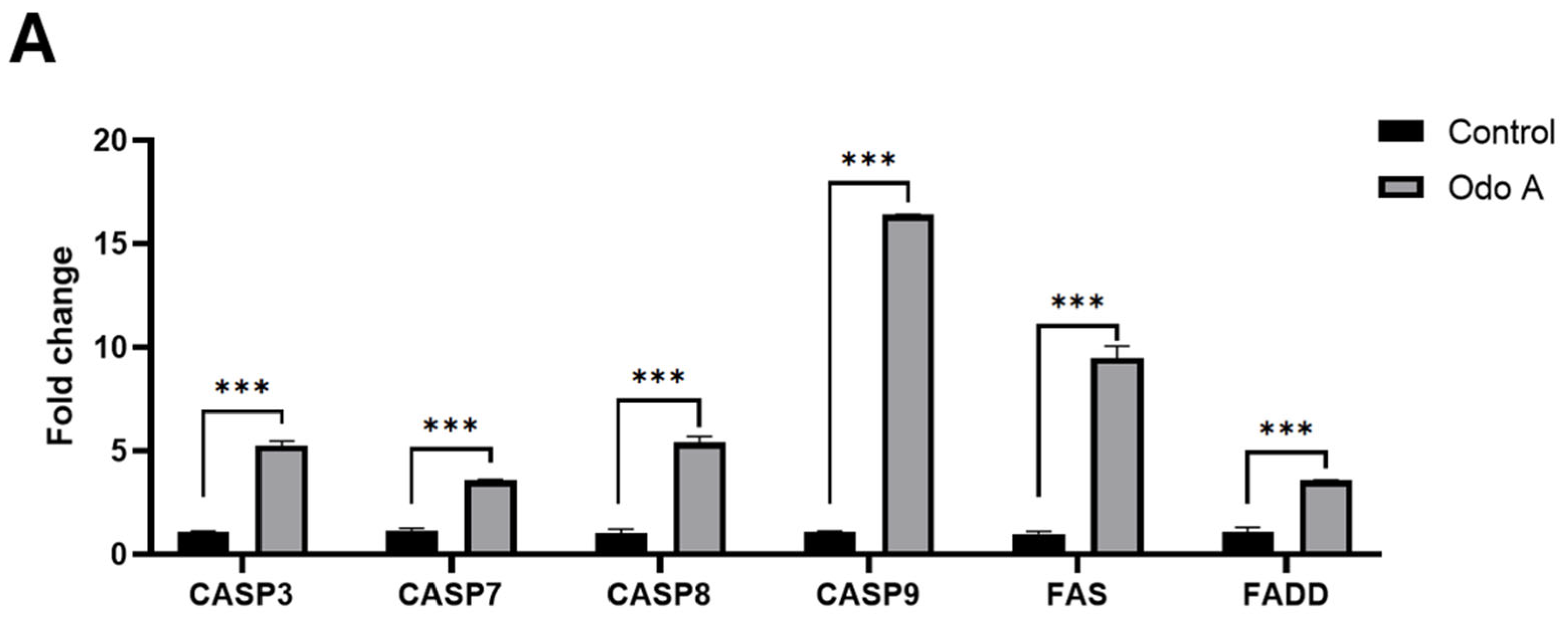 Evaluation of the Apoptotic, Prooxidative and Therapeutic Effects of ...