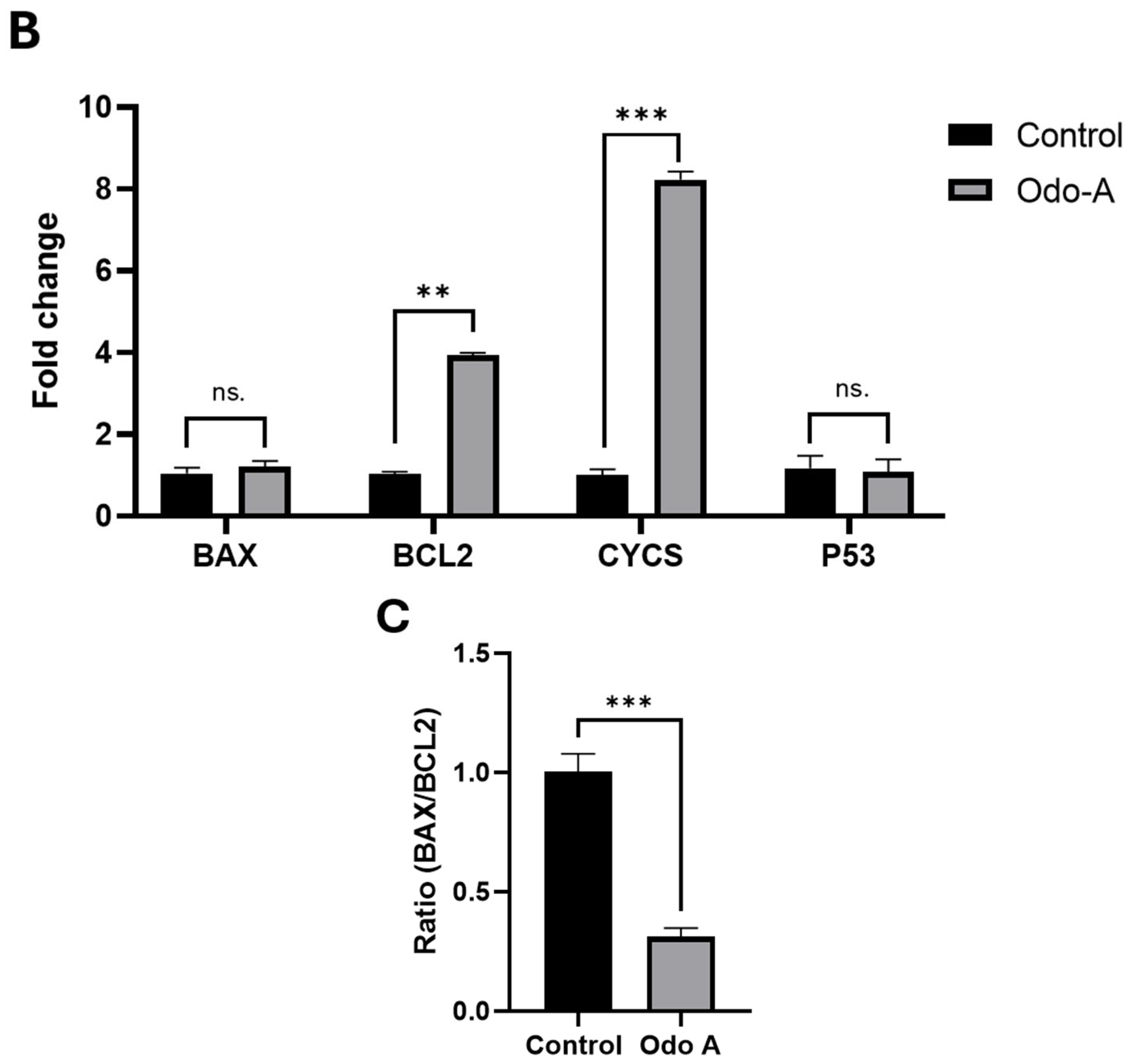 Evaluation of the Apoptotic, Prooxidative and Therapeutic Effects of ...