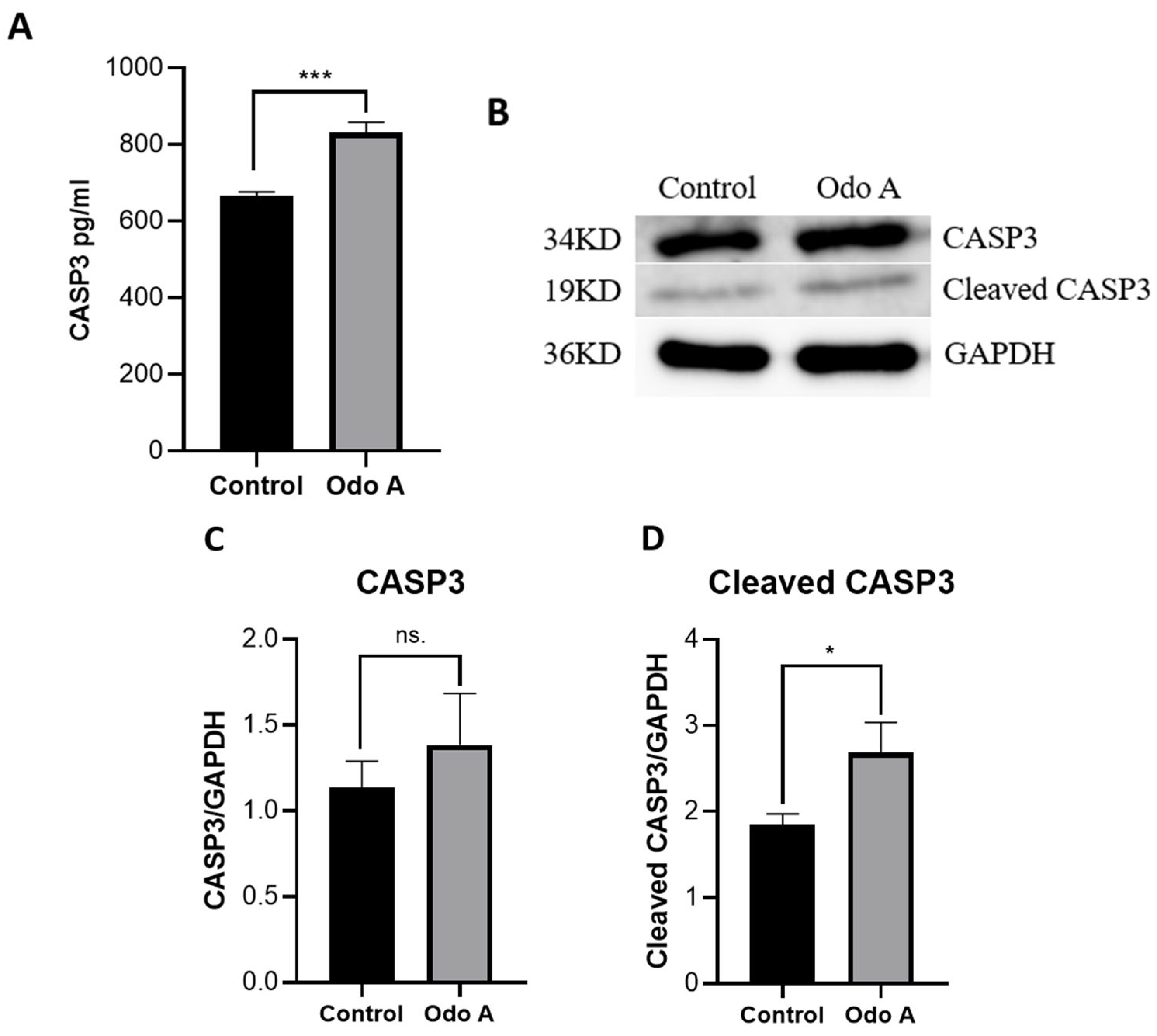 Evaluation of the Apoptotic, Prooxidative and Therapeutic Effects of ...