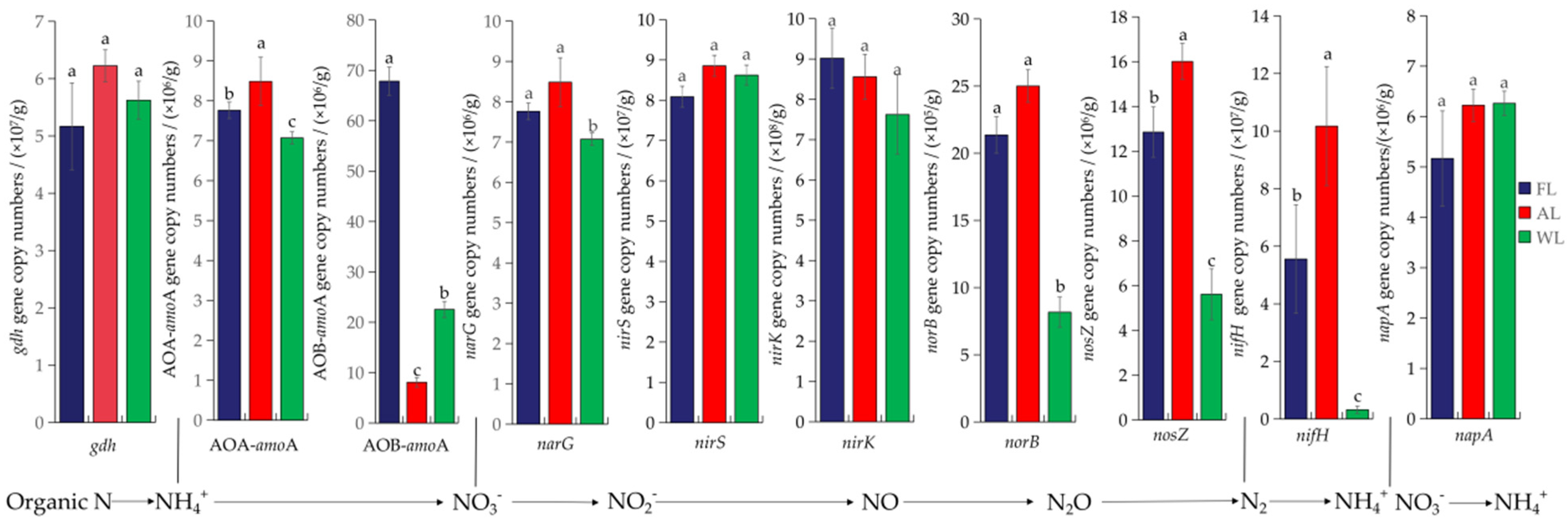 Impacts of Land Use on Soil Nitrogen-Cycling Microbial