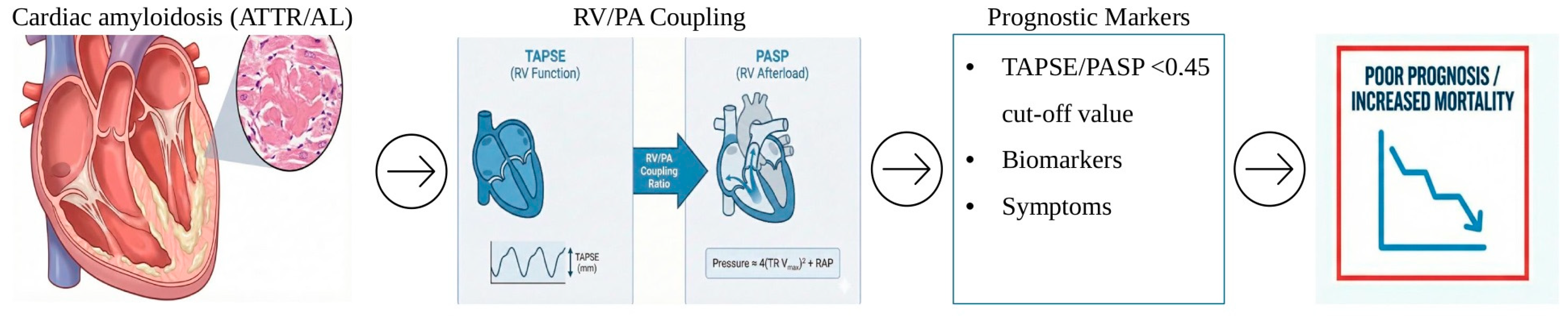 Right Ventricular–Pulmonary Artery Coupling as a Prognostic Marker in ...