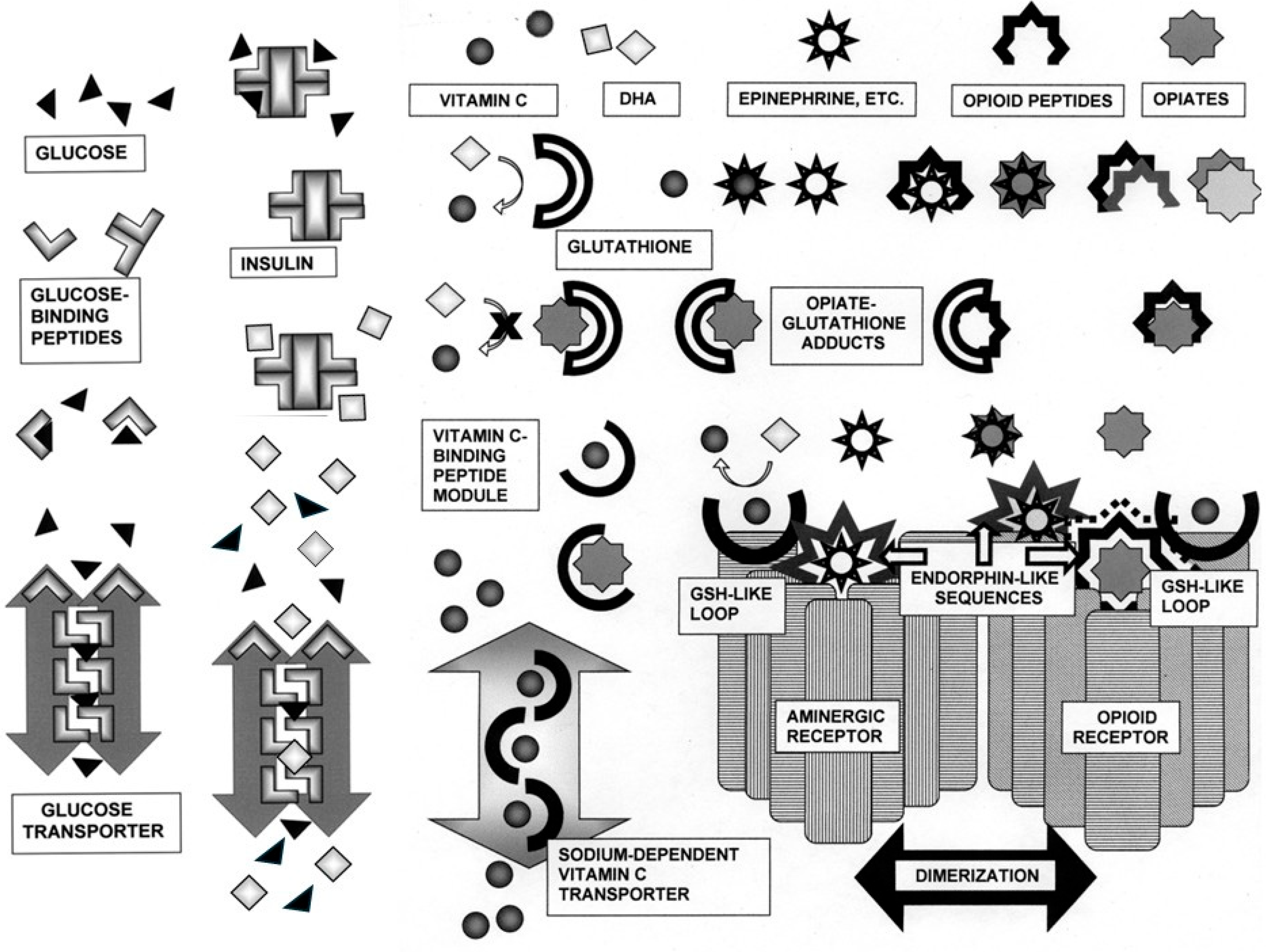 Selection for Molecularly Complementary Modules (MCMs) Drives the ...
