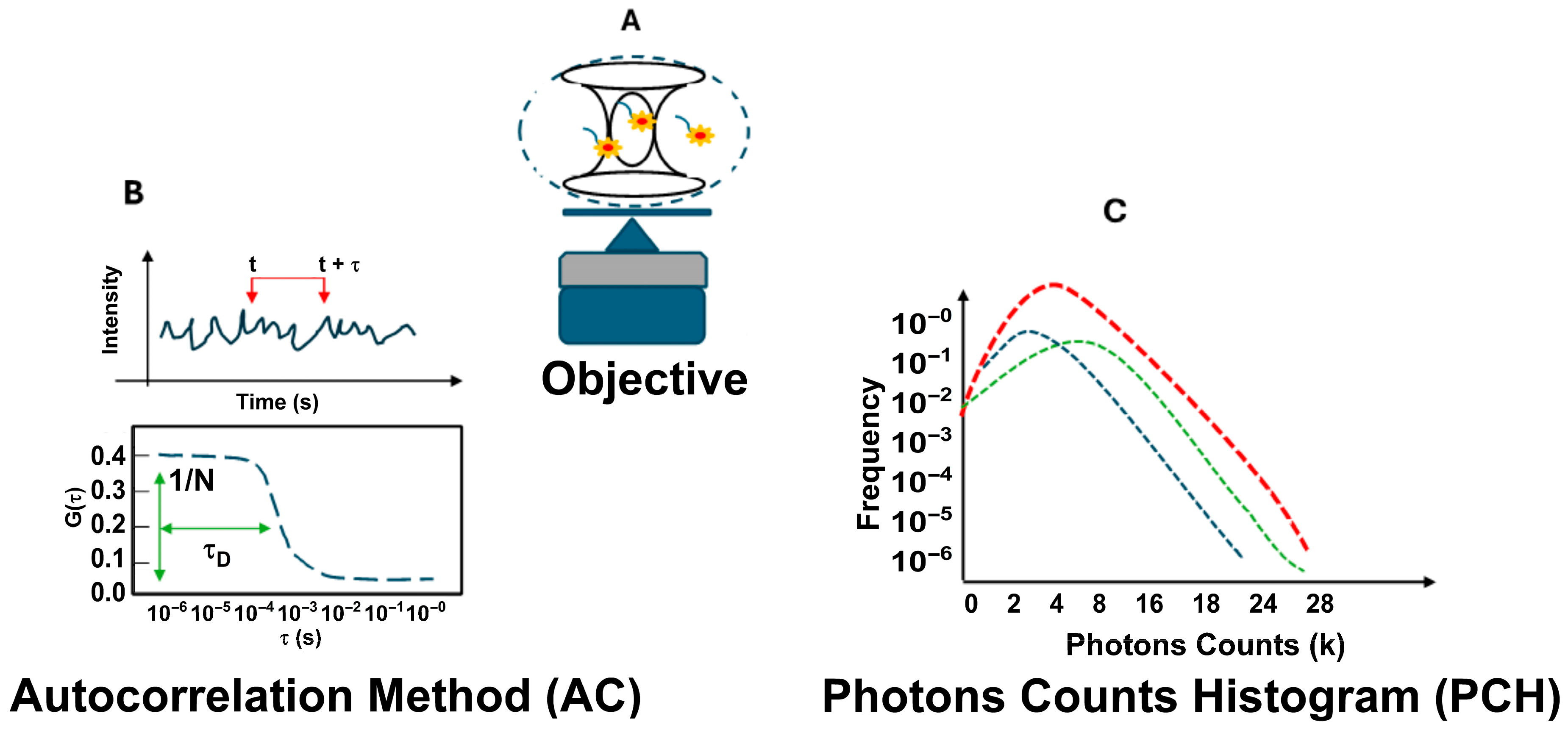 Fluorescence Correlation Spectroscopy (FCS) Unlocks the Presence of ...