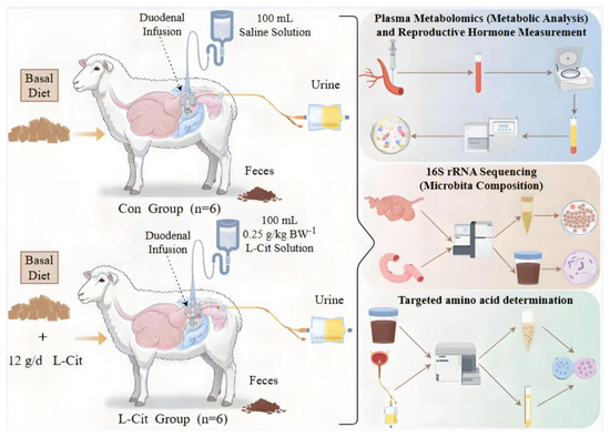Life | Special Issue : Gut Health and Nutritional Strategies in Animals