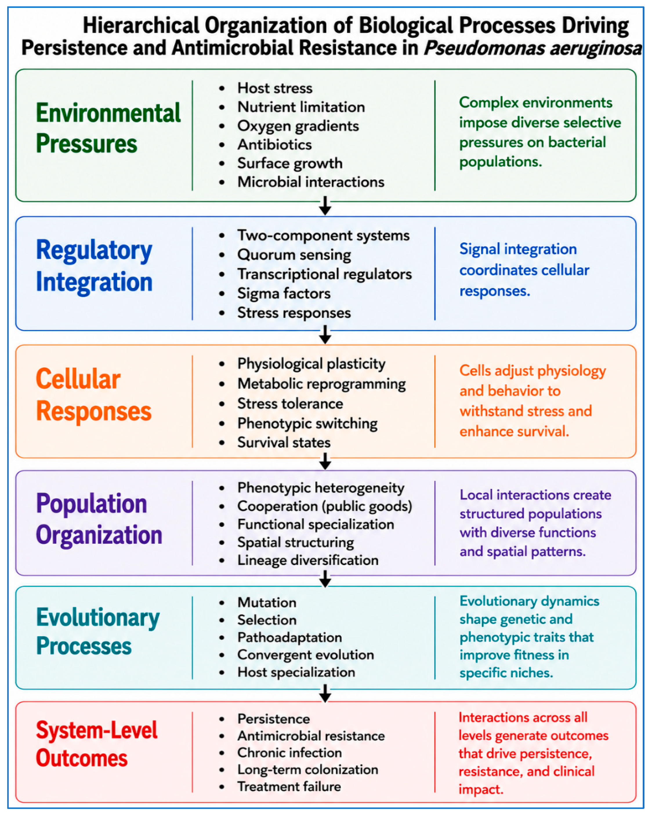 Beyond Resistance Genes: Pseudomonas aeruginosa as a Complex Adaptive ...