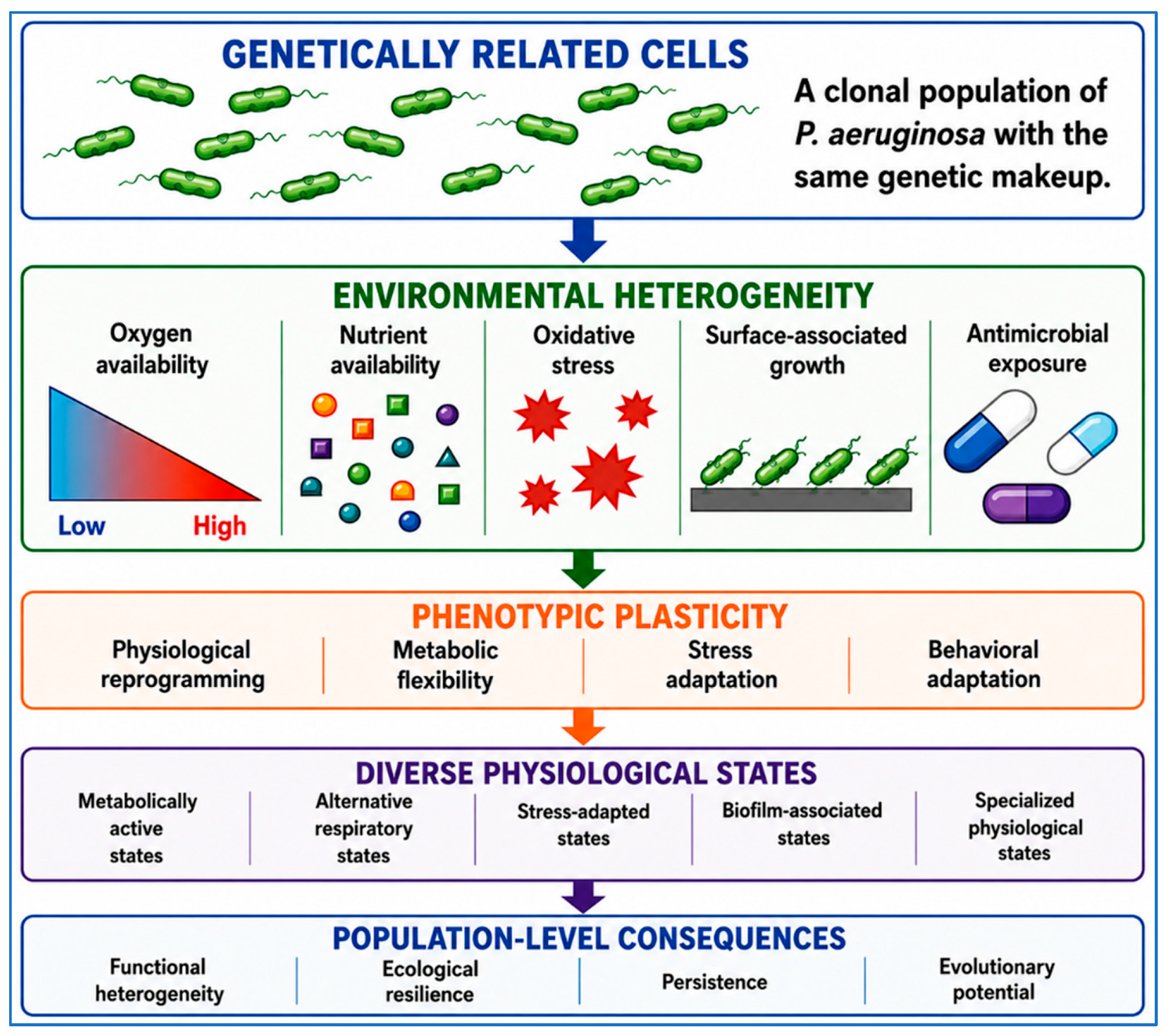 Beyond Resistance Genes: Pseudomonas aeruginosa as a Complex Adaptive ...