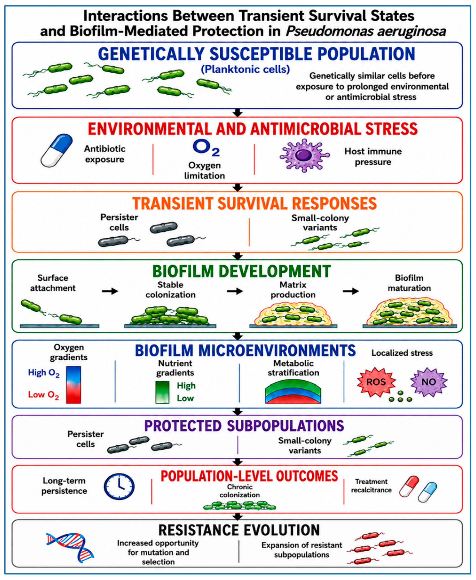 Beyond Resistance Genes: Pseudomonas aeruginosa as a Complex Adaptive ...