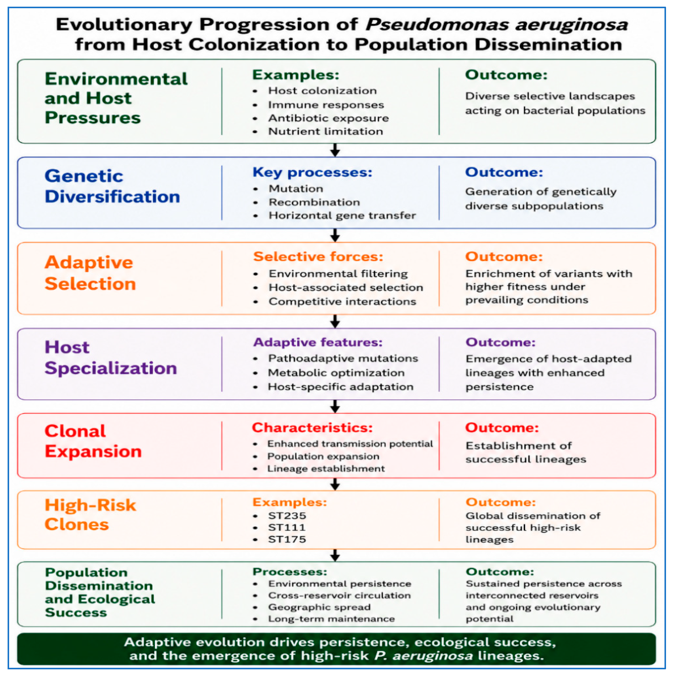 Beyond Resistance Genes: Pseudomonas aeruginosa as a Complex Adaptive ...