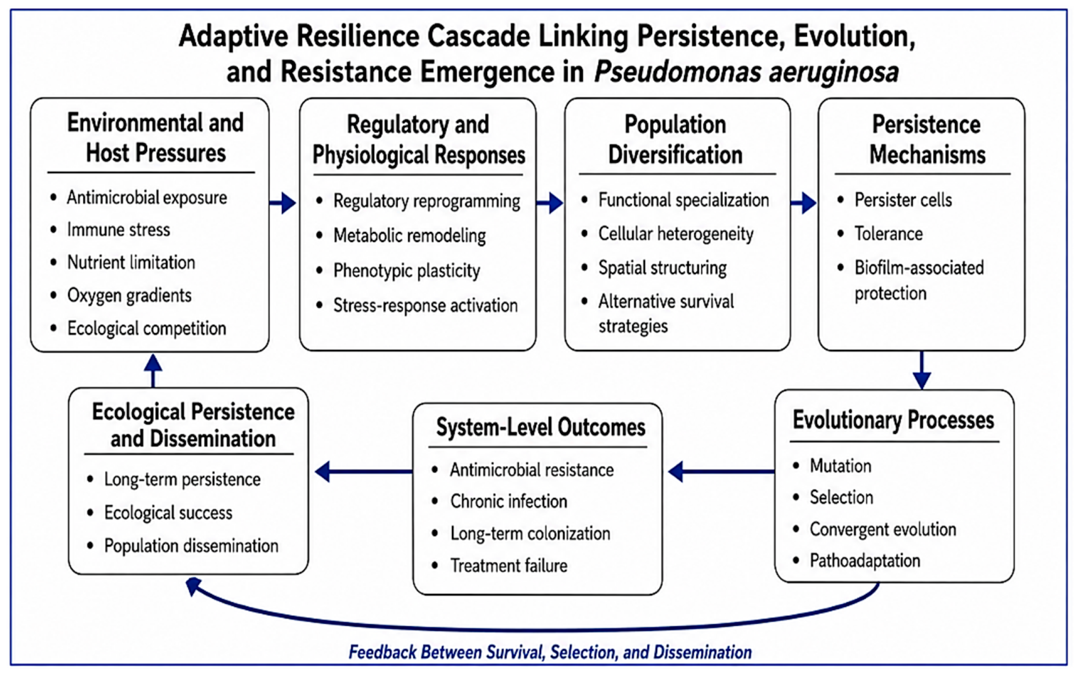 Beyond Resistance Genes: Pseudomonas aeruginosa as a Complex Adaptive ...